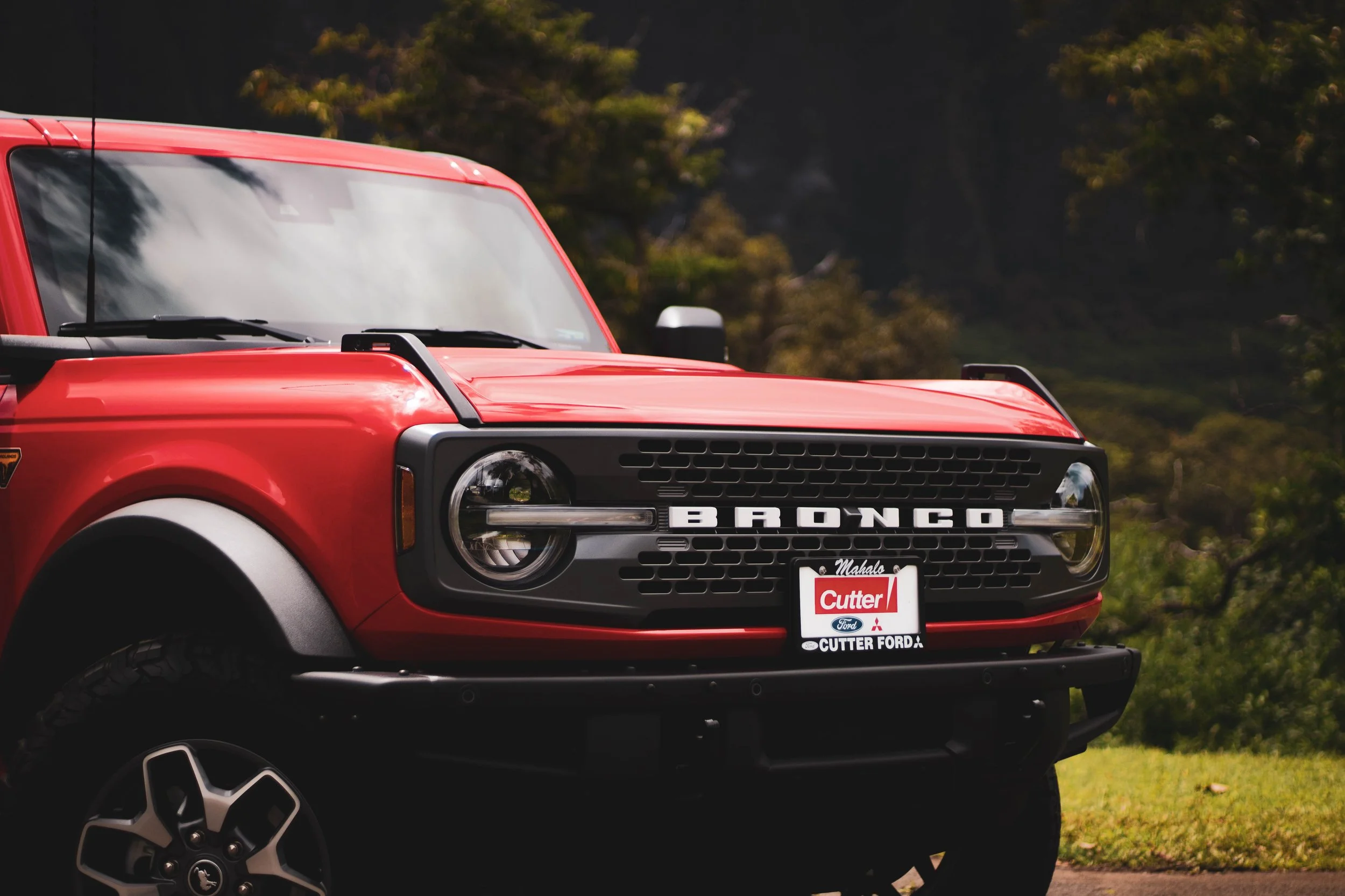 red bronco (1 of 132).jpg