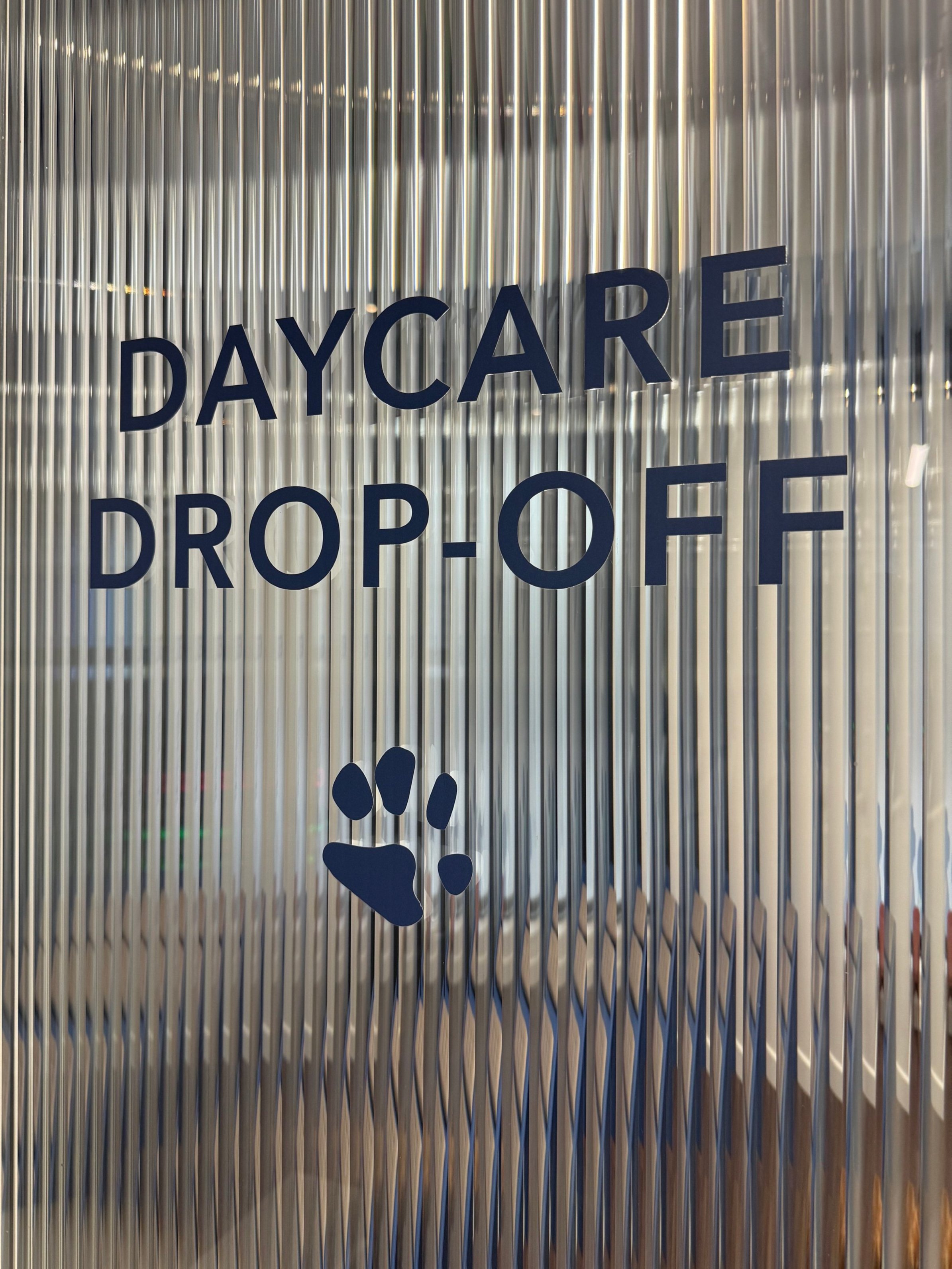 Daycare Drop Off.jpg