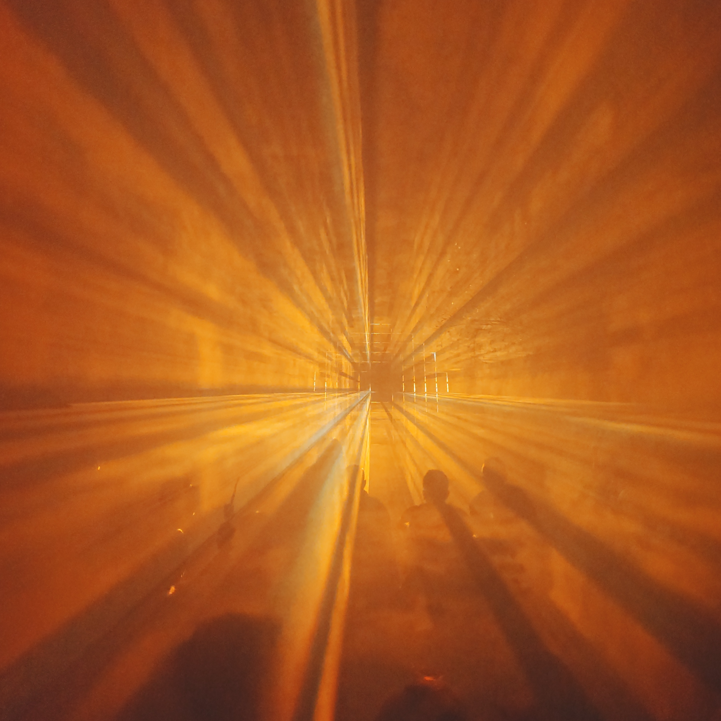TulpaCollective-ONKO_003.png