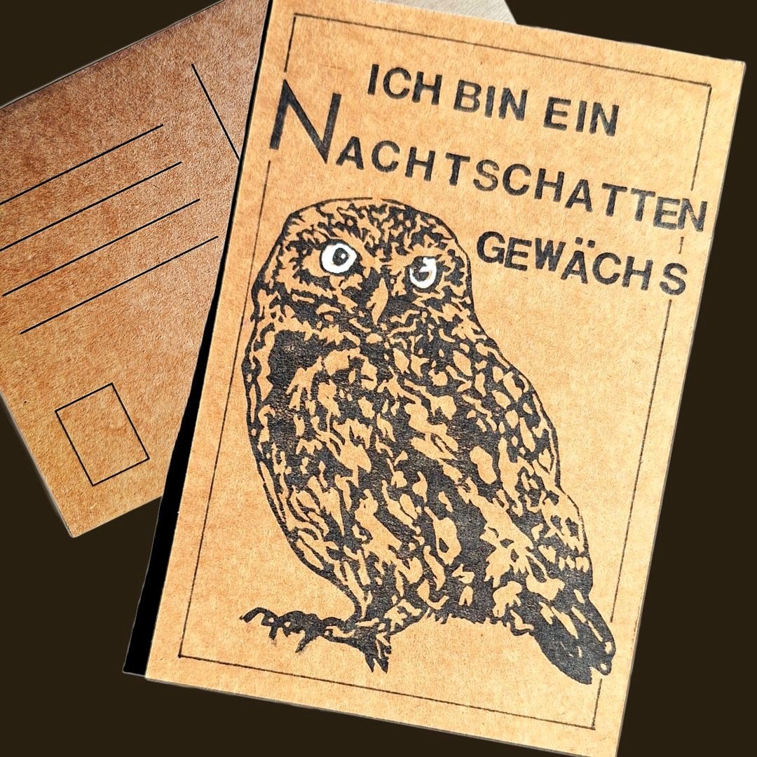 Kauz1b.jpg