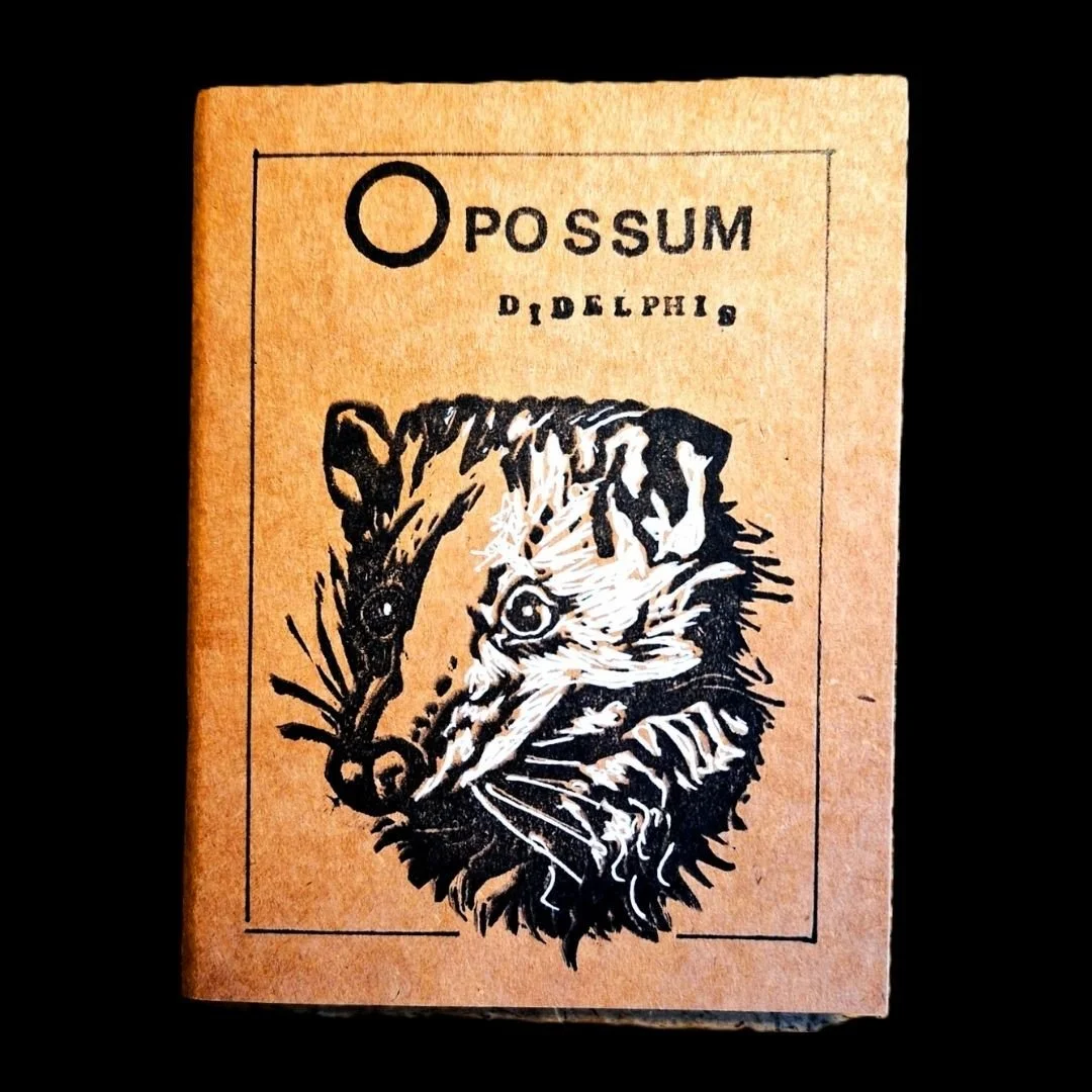 Opossum.jpg