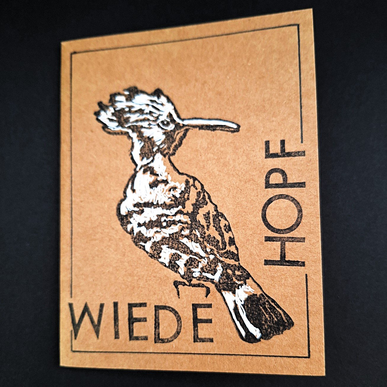 Wiedehopf.jpg