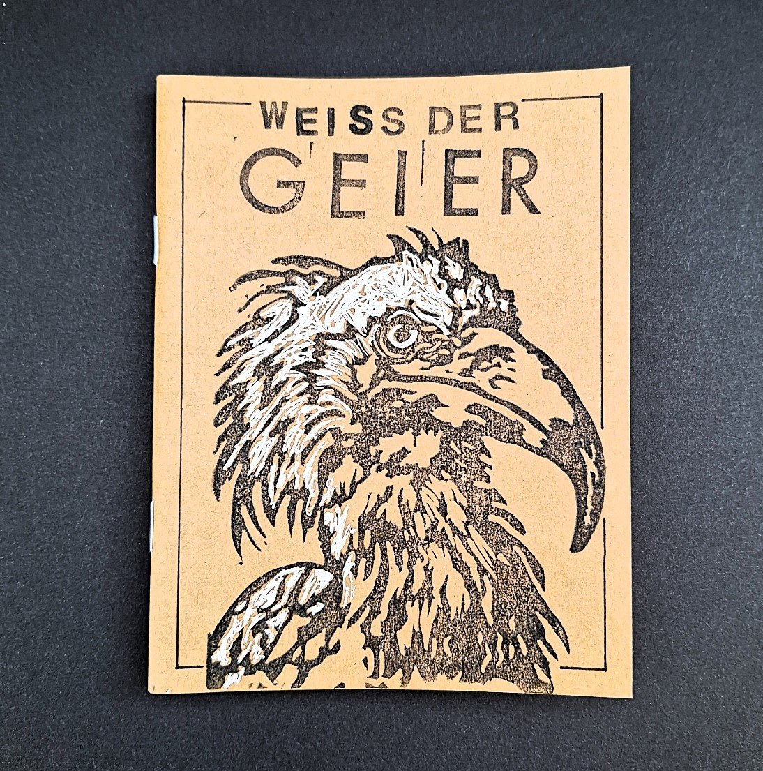 Geier.jpg