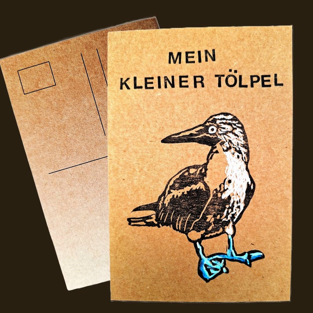 Tölpel.jpg