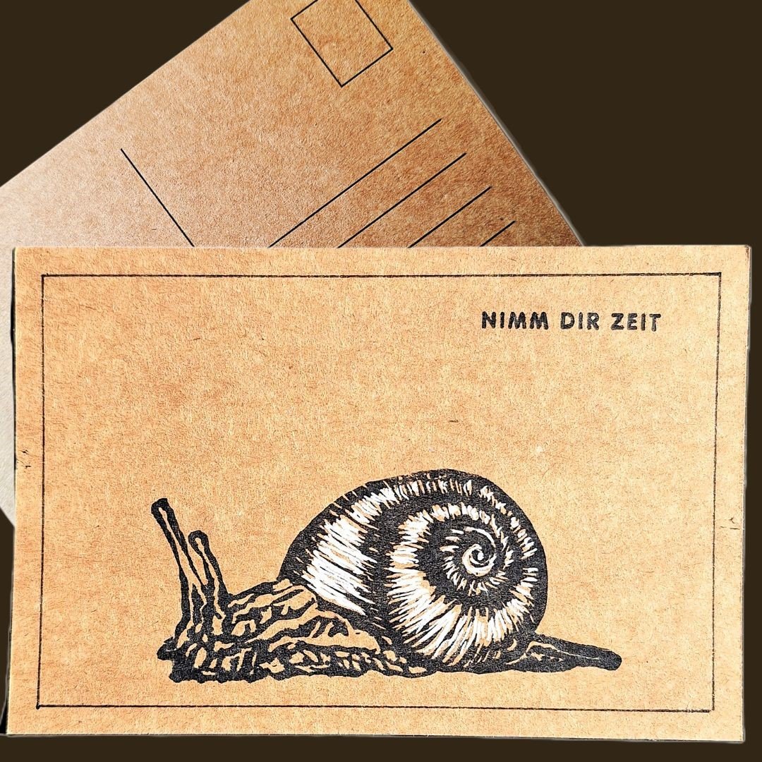 Schnecke2.jpg