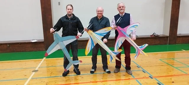 Eesti Meistrivõistlused sisevigurlennus, klass F3P