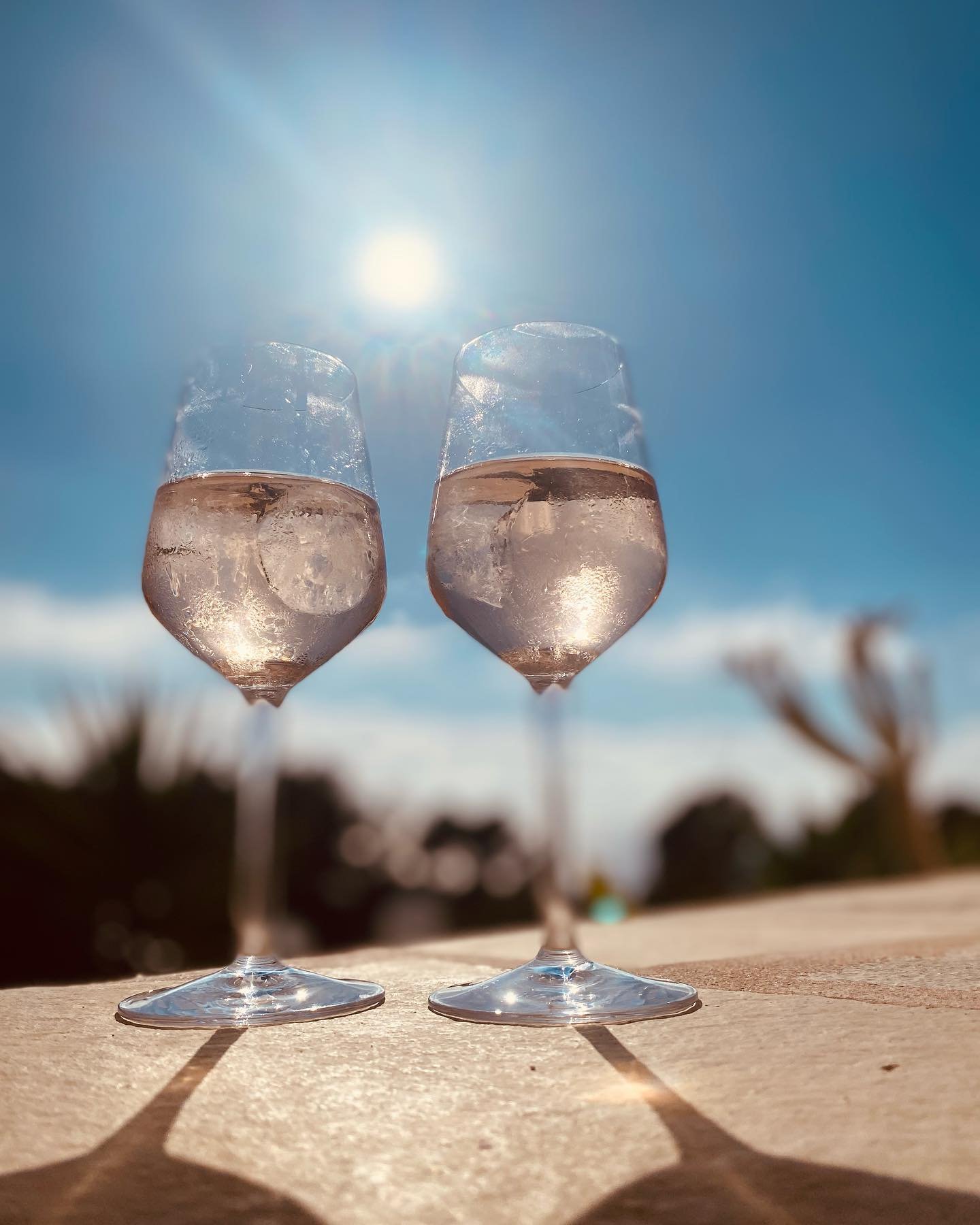 It’s in the name #roseallday #ibizlife