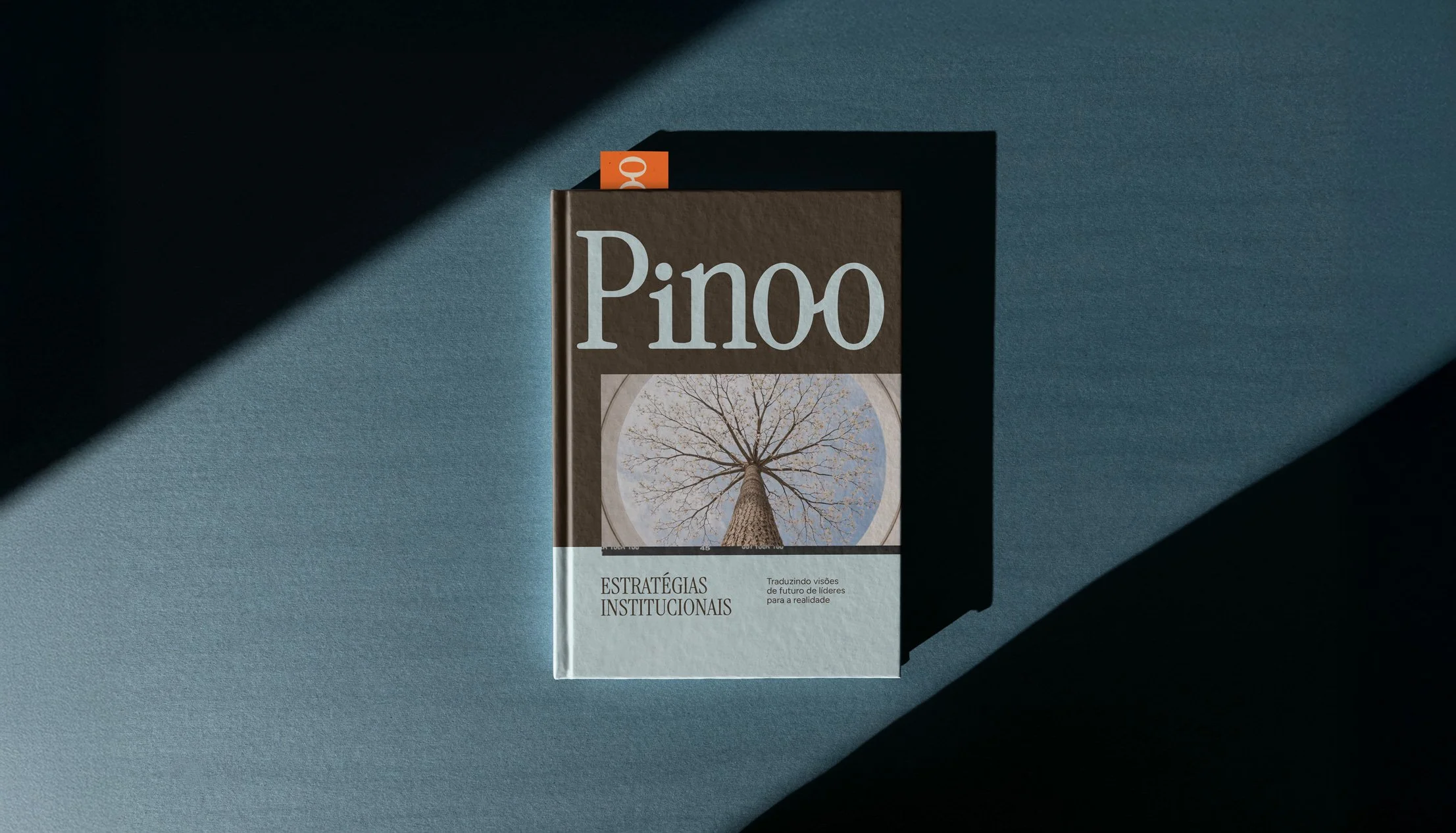 Brand identity design by Amanda Bellani Leal