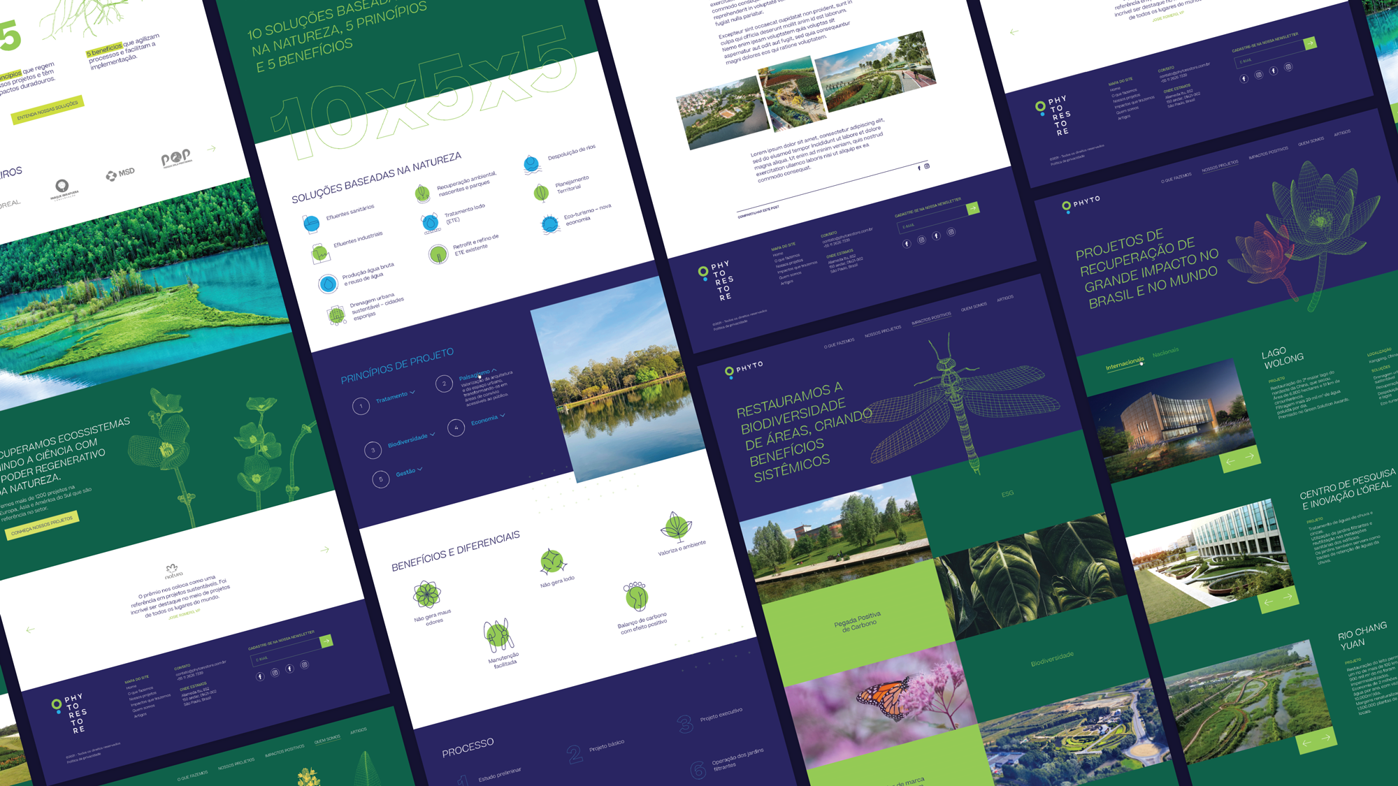 Digital interface using the brand identity and visual design system