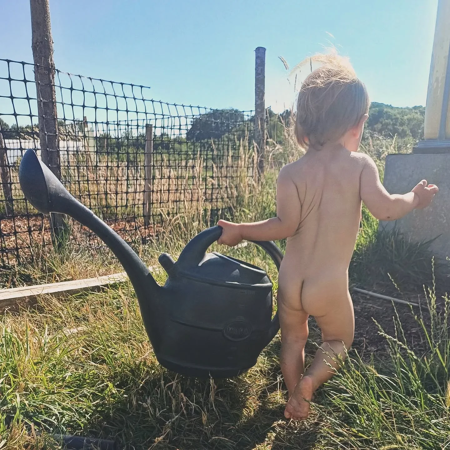 My 'cheeky' little assistant with yesterday evening's watering 

#farmingwithkids #gardeningwithkids