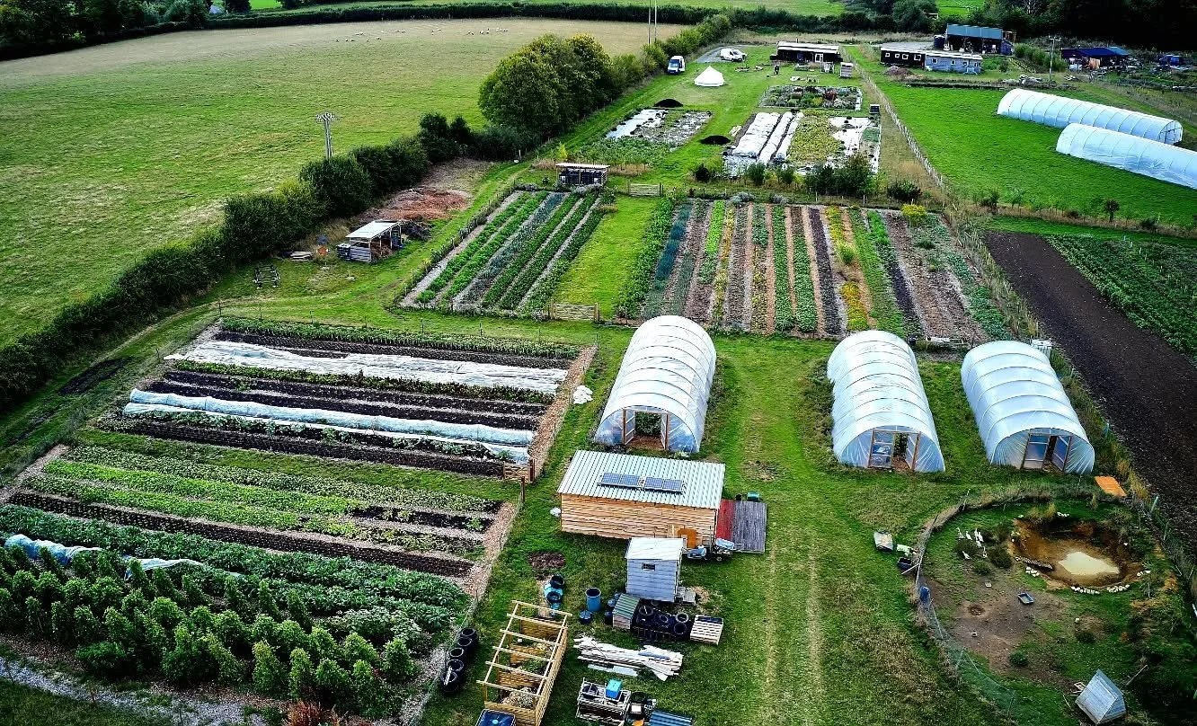 Well folks it's been a busy second full growing seaon here...from a bare field site when I moved in Spring 2023 to now September 2025. This season has seen our growing spaces expand by almost 70% on last year, plus the addition of a my brand new pack