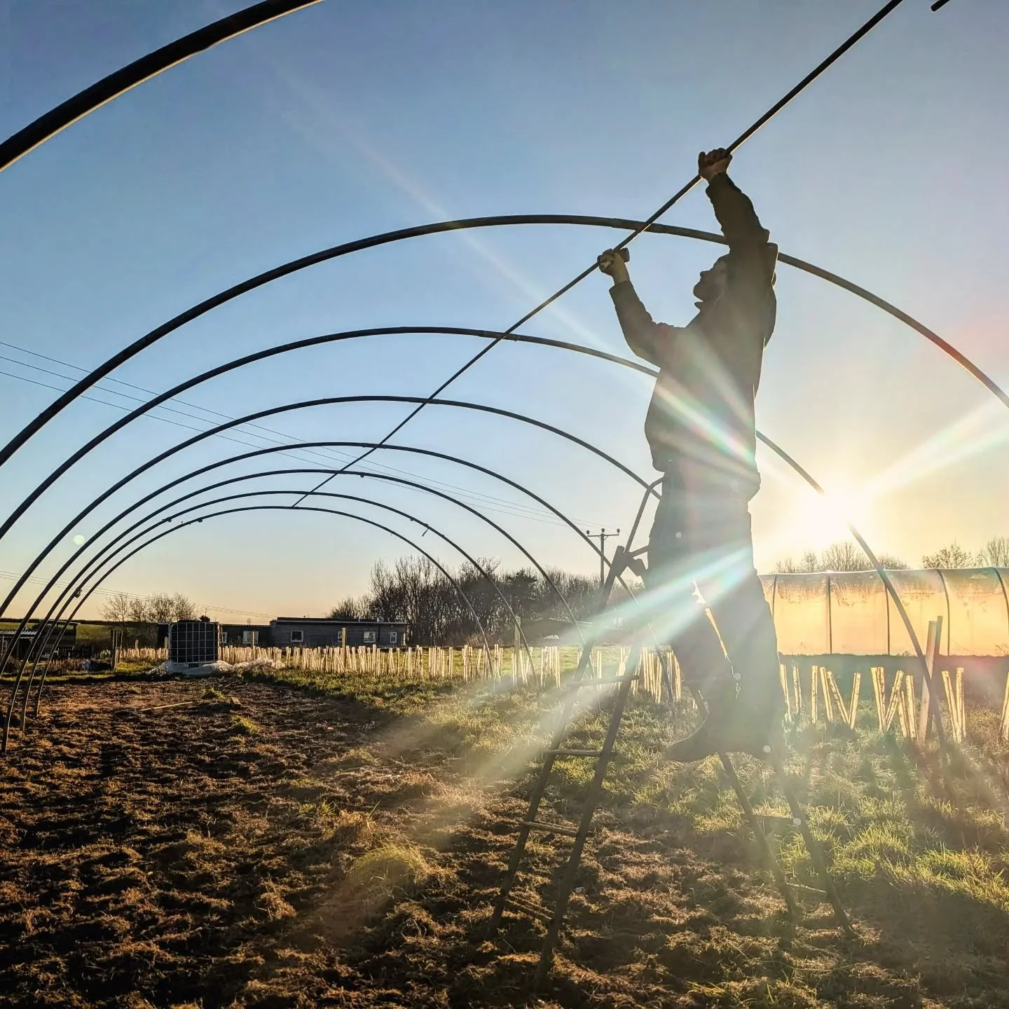 Behind the scenes @offgrid_organics on a bright but chilly early January afternoon with new team mate @jakesgardening