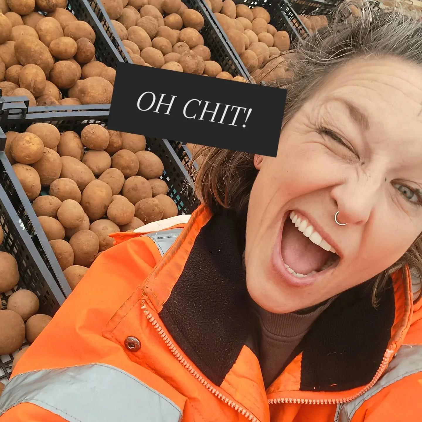 Potato chitting is one of those quiet, hopeful jobs that marks the real beginning of the growing season 🌱

The simple act of placing seed potatoes in trays, somewhere cool and bright, to encourage them to sprout before they go into the soil. Those l