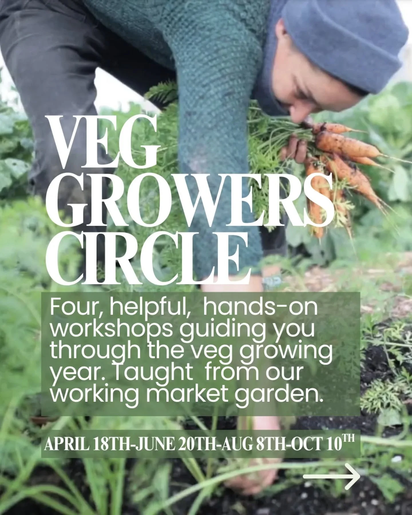 Let&rsquo;s be honest, lots of veg growing courses try to teach you everything in a single day: seed sowing, soil, pests, planting, harvesting, the lot. It&rsquo;s interesting, it&rsquo;s inspiring&hellip; but by the time August rolls around, you&rsq