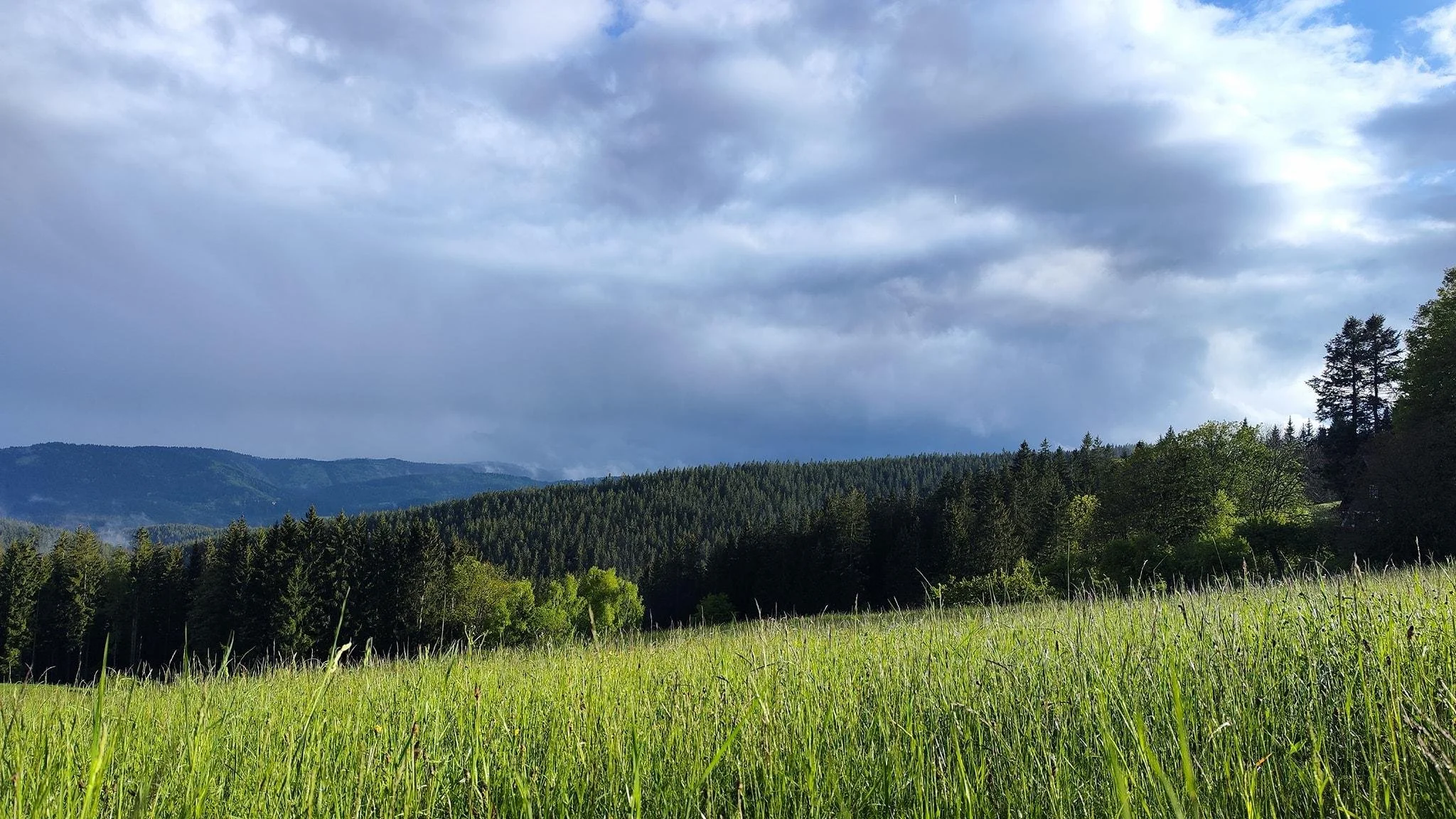 [5.-7.6.] Letní víkendovka Trojky