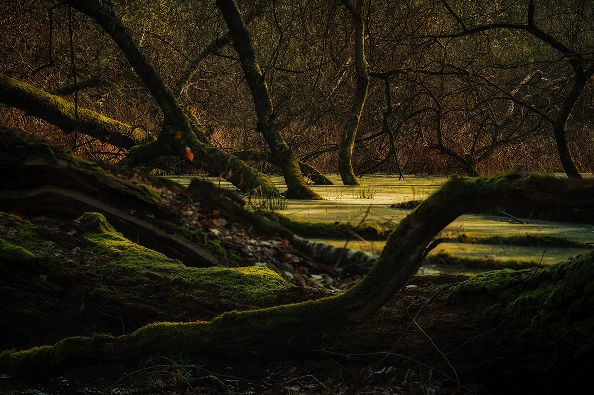 MÖNCHBRUCH INSTA.jpeg