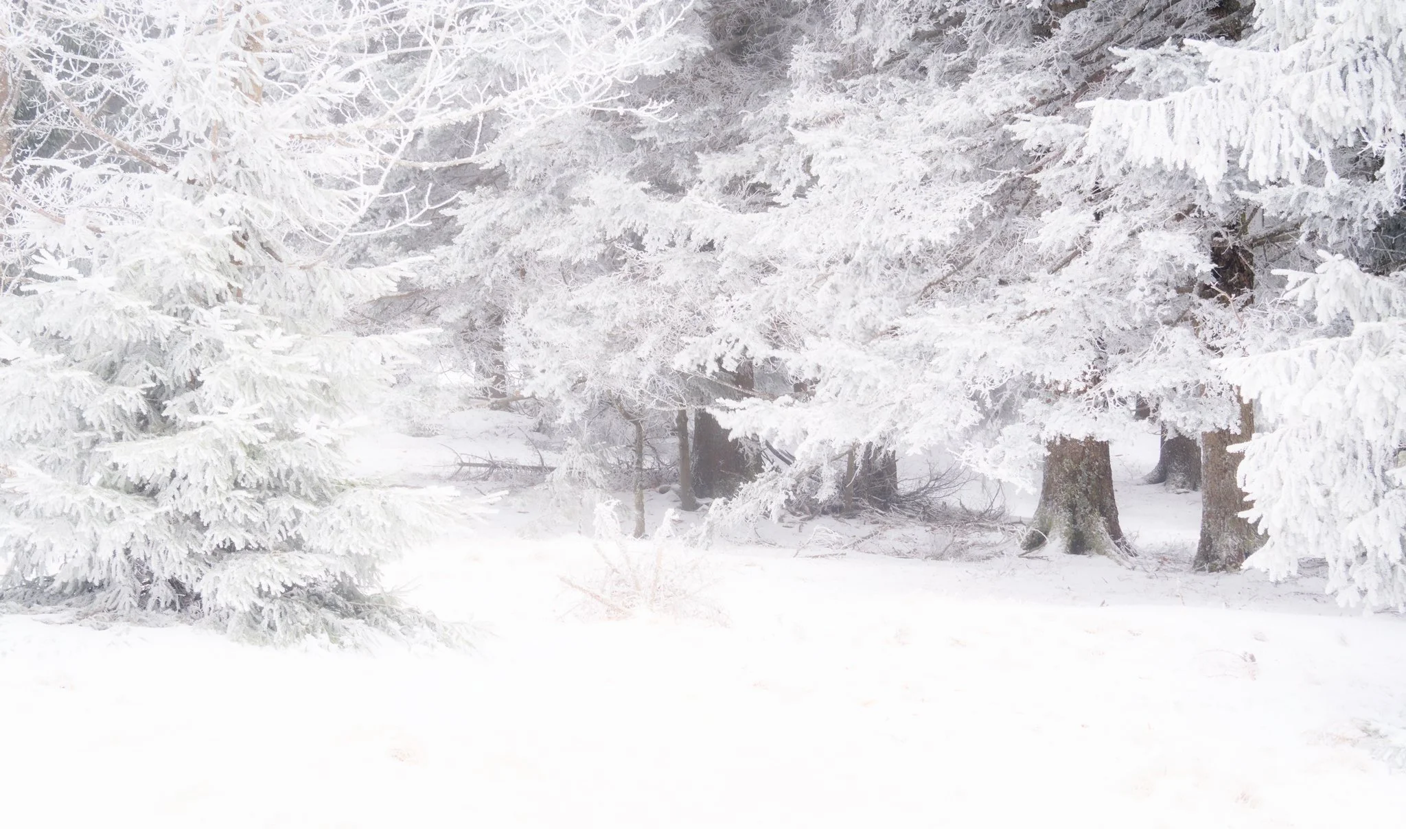 02012026-3.jpeg
