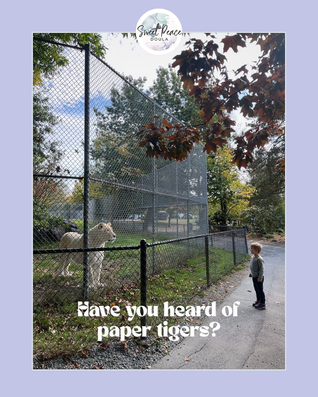 A long one, but a fascinating concept ✨

A note on helping nurture our nervous system, the final point being &ldquo;taking action&rdquo;. This direction could be done in the following ways:

✨ Asking for a different nurse, finding a new care provider