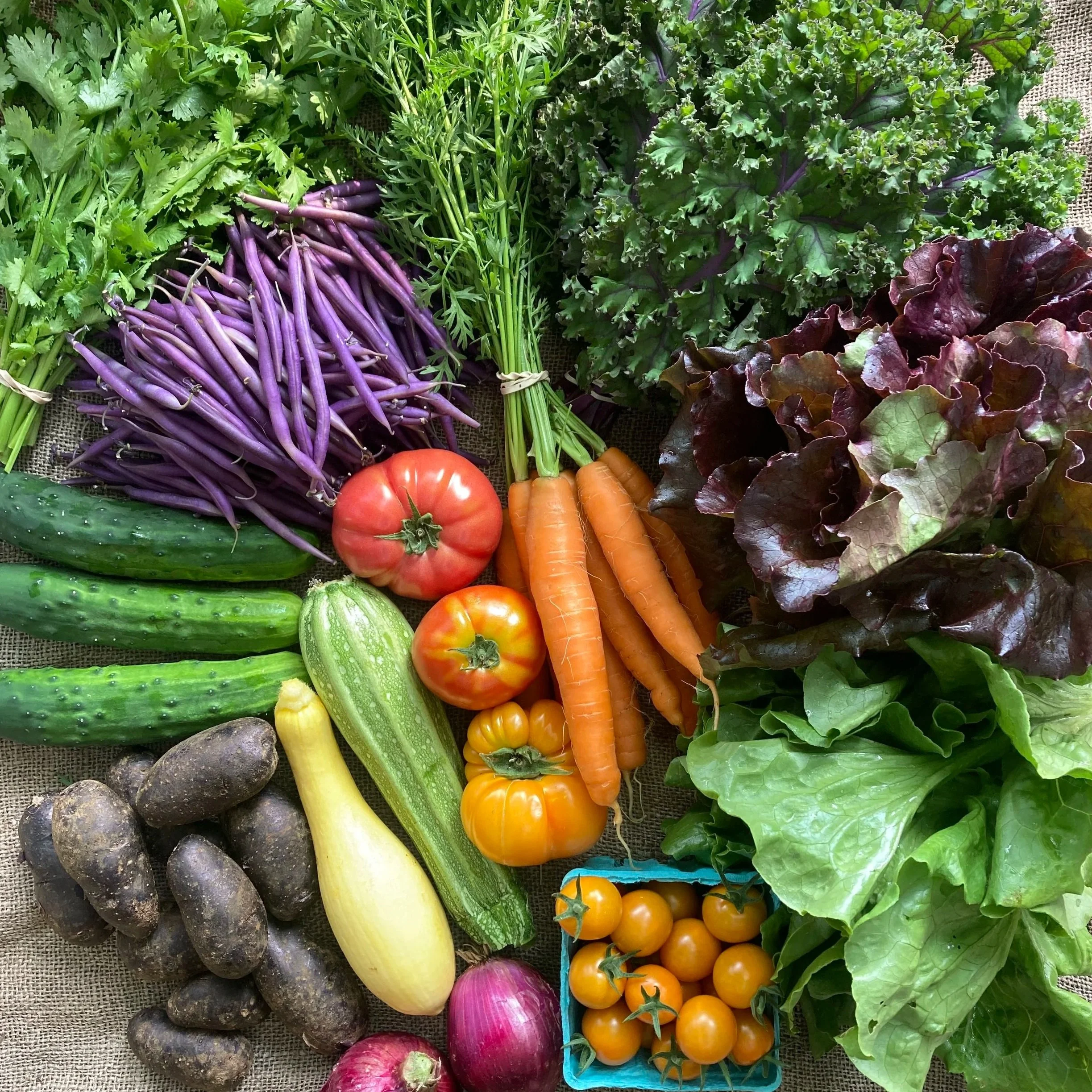 FULL SHARE SUMMER CSA
