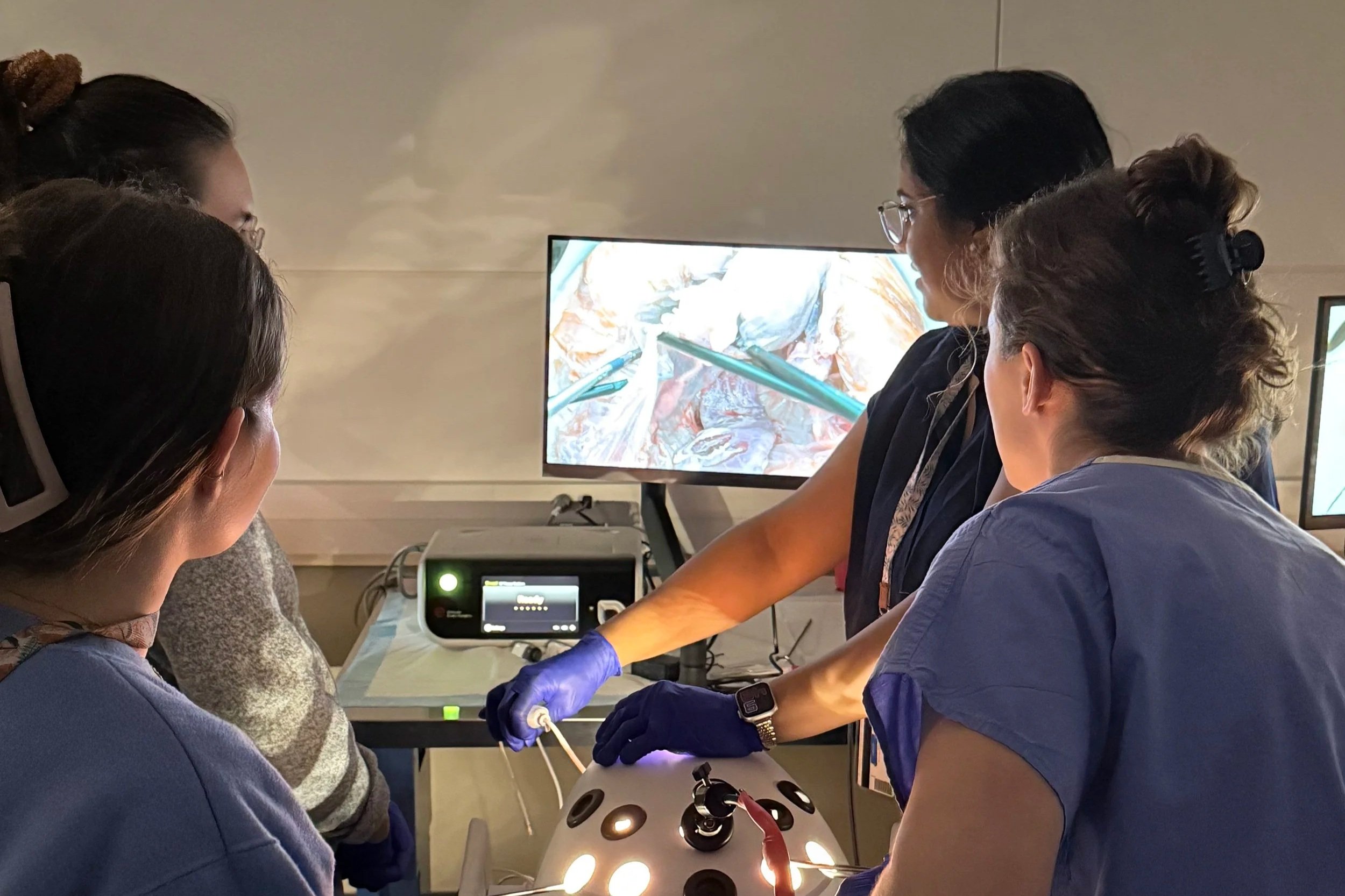 Cystoscopy, Ureteral Stent, and Simple Biopsy Simulation Training 