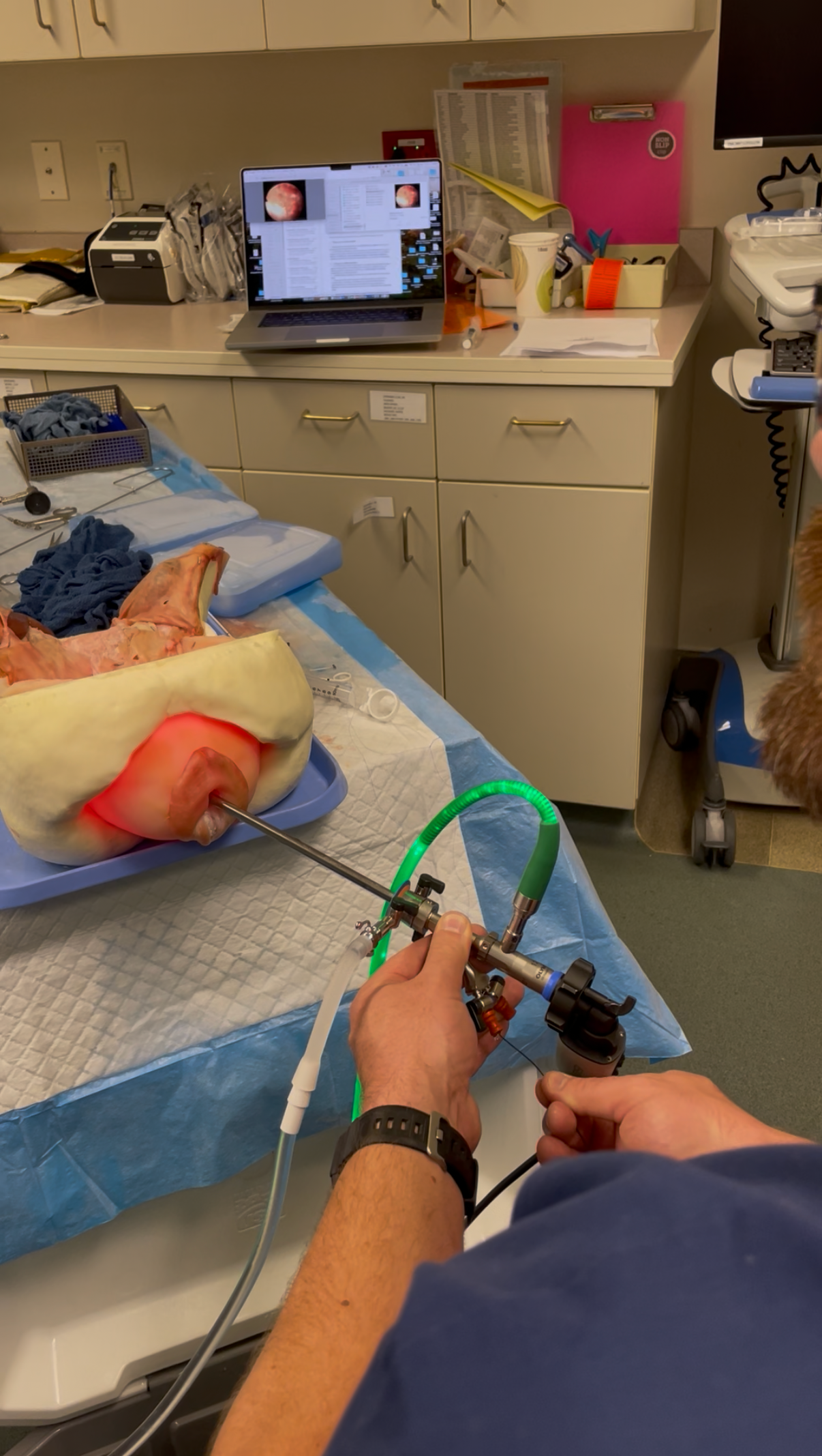 Cystoscopy, Ureteral Stent, and Simple Biopsy Simulation Training 