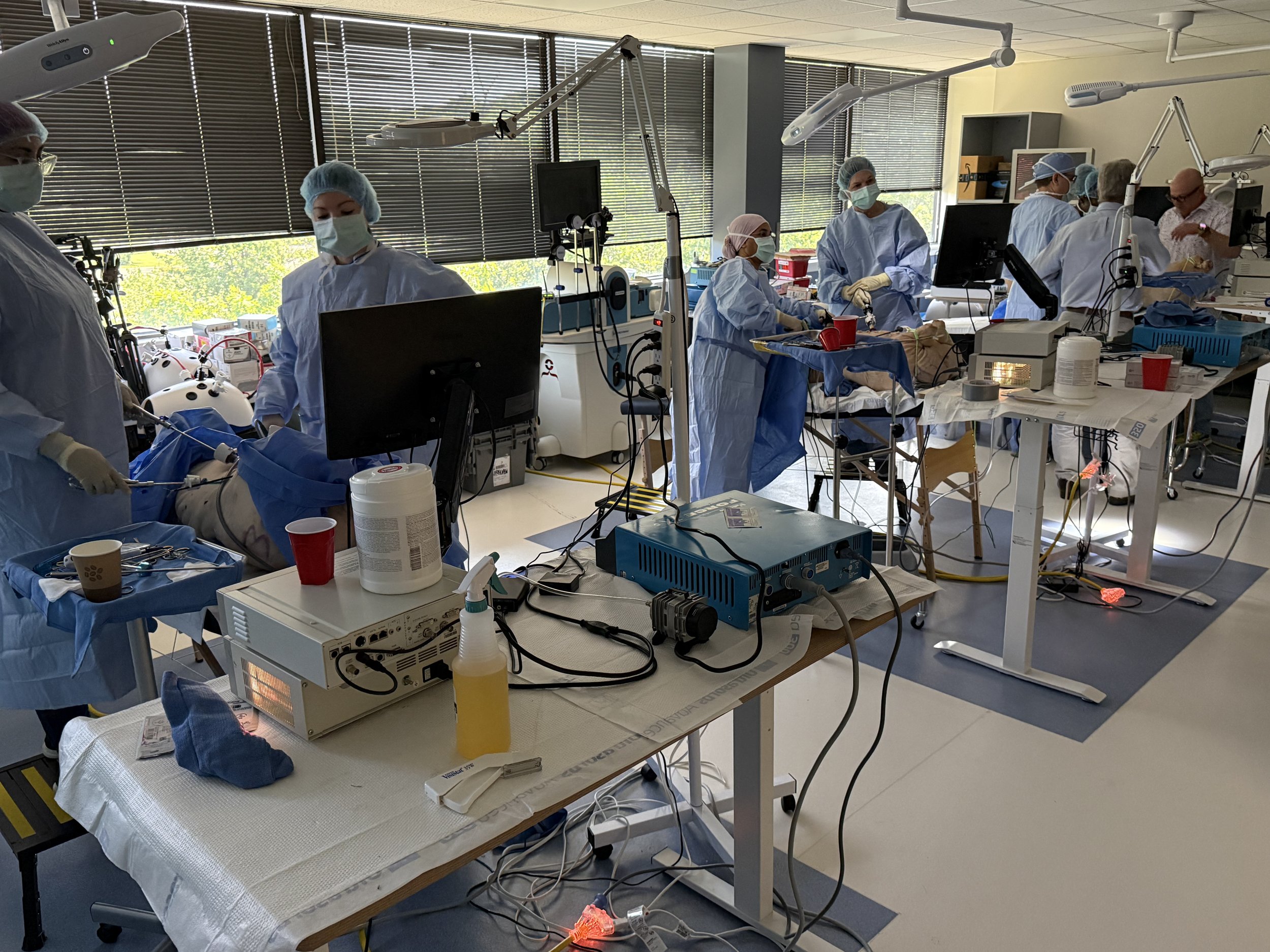 Executive Fellowship in Advanced MIGS &amp; Endometriosis Care: Session #5