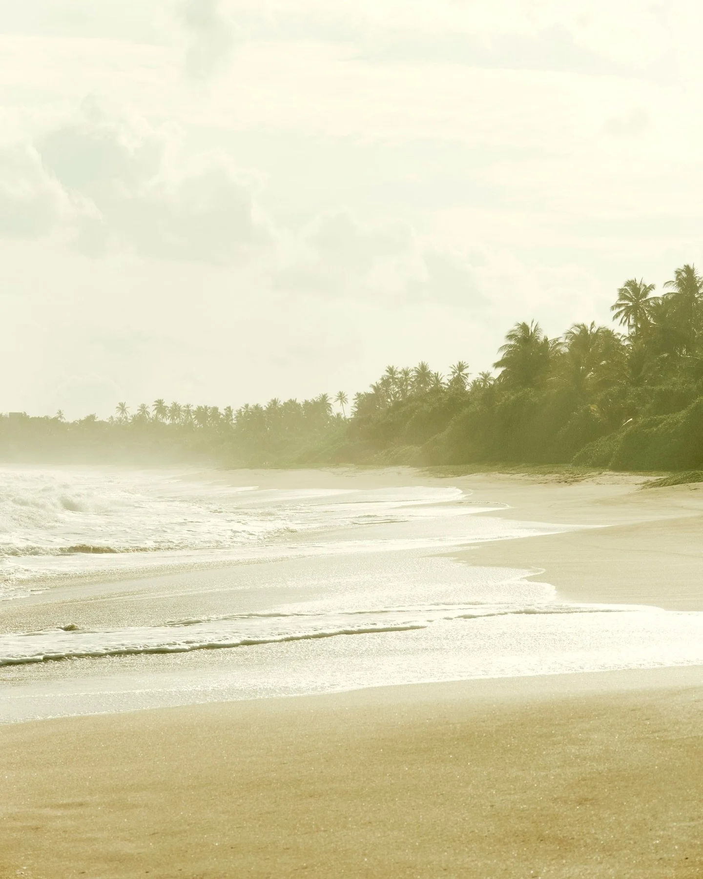 Soft light, ocean air, and moments that felt like forever&hellip;
 The last frame, just me happy, doing what I love.

#SriLanka #travelphotography #destinationphotography #visitsrilanka #travelcontent