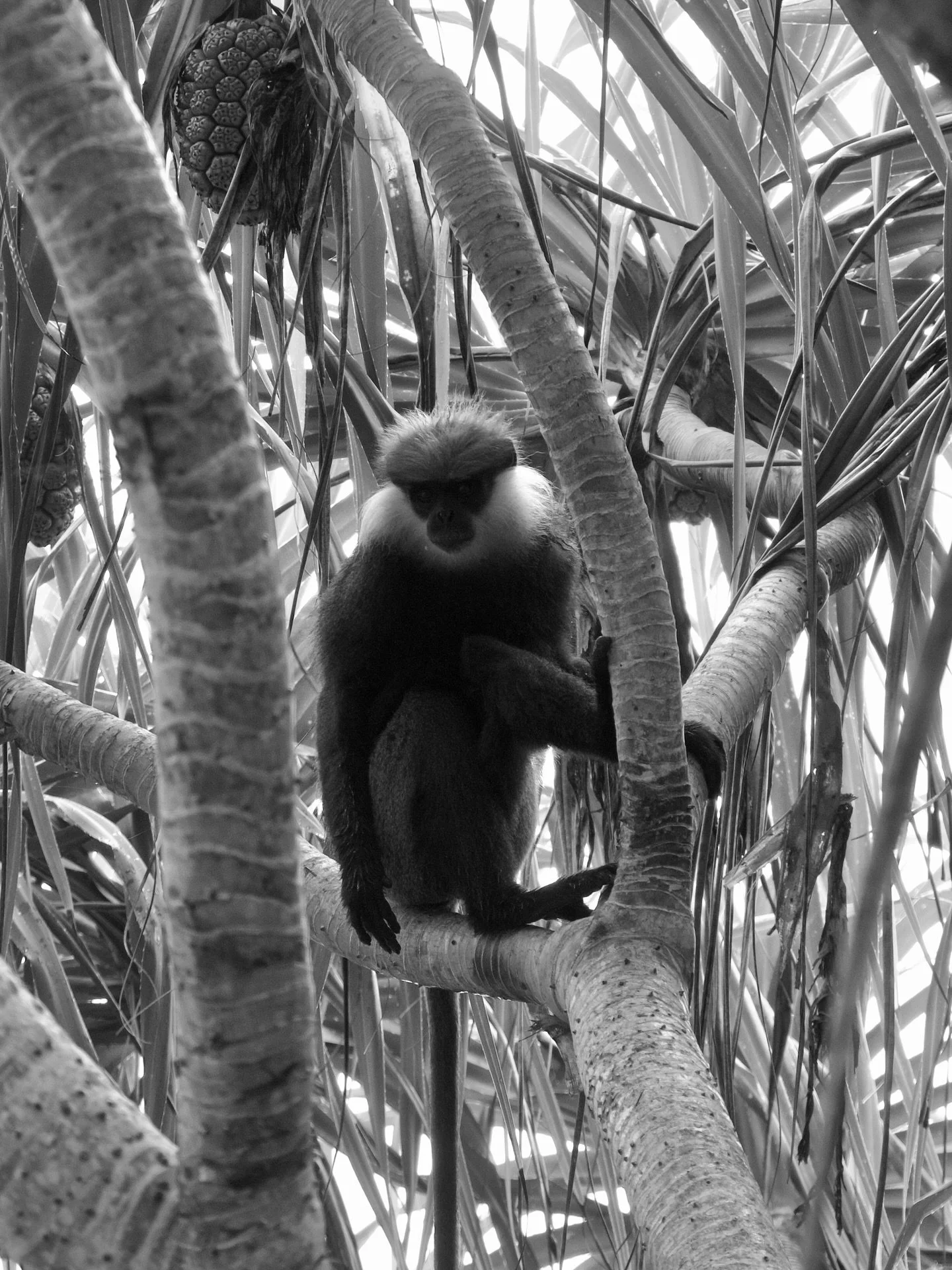 Supposed to be a hotel shoot&hellip; but always a few unexpected guests in the album