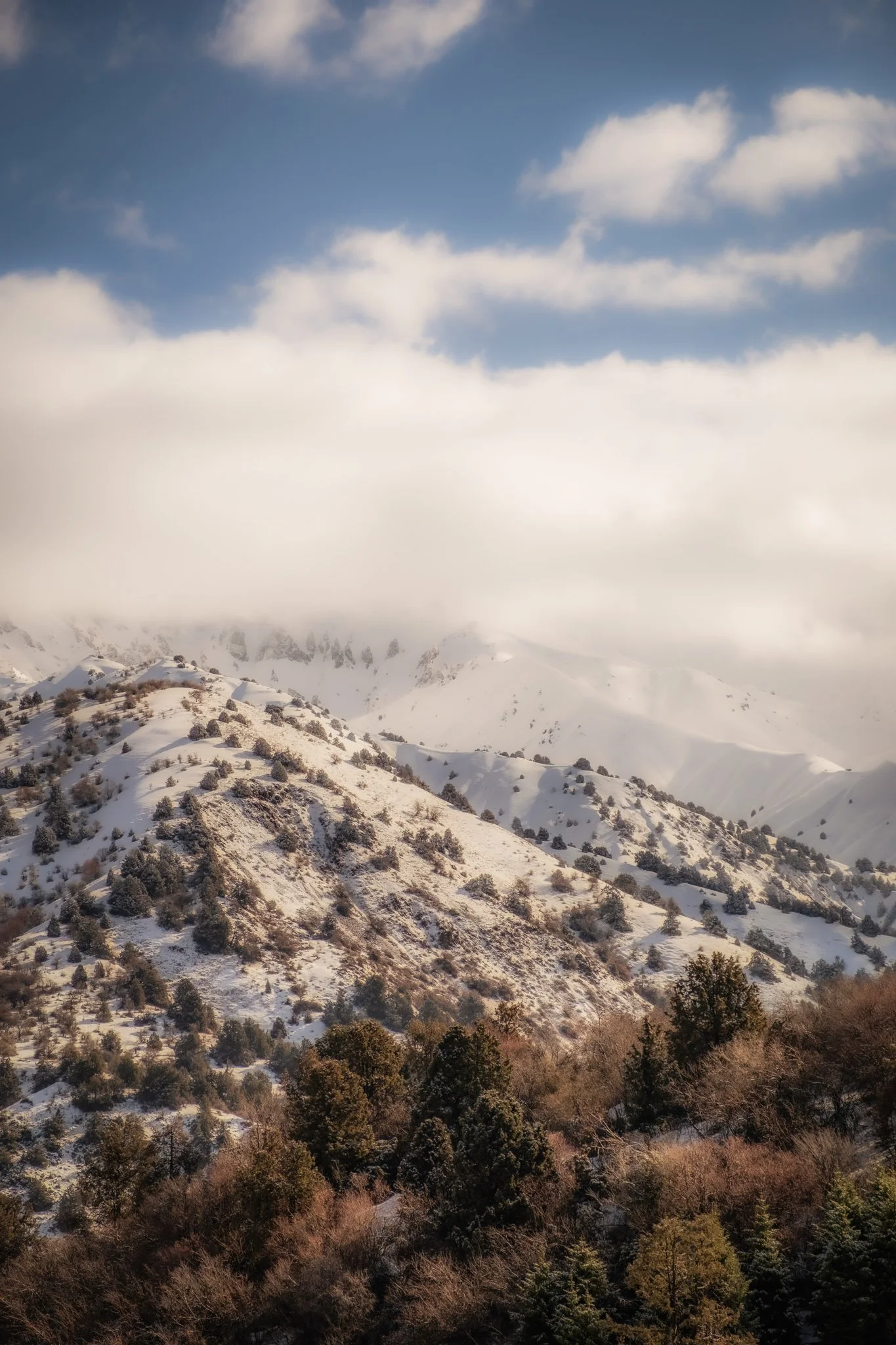 DSCF8554 2.jpg