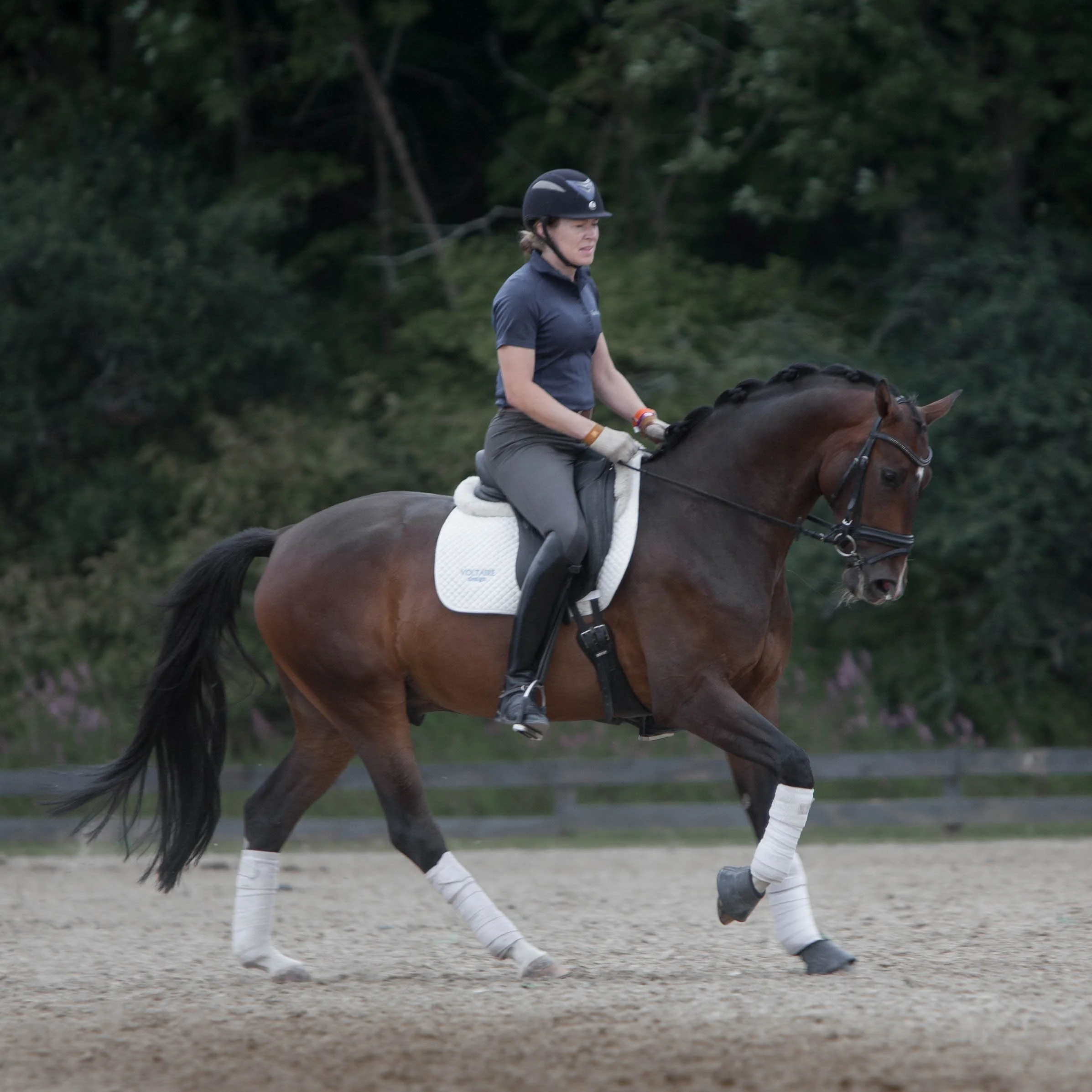 equestrian-photographer-nyc-haruko.jpg