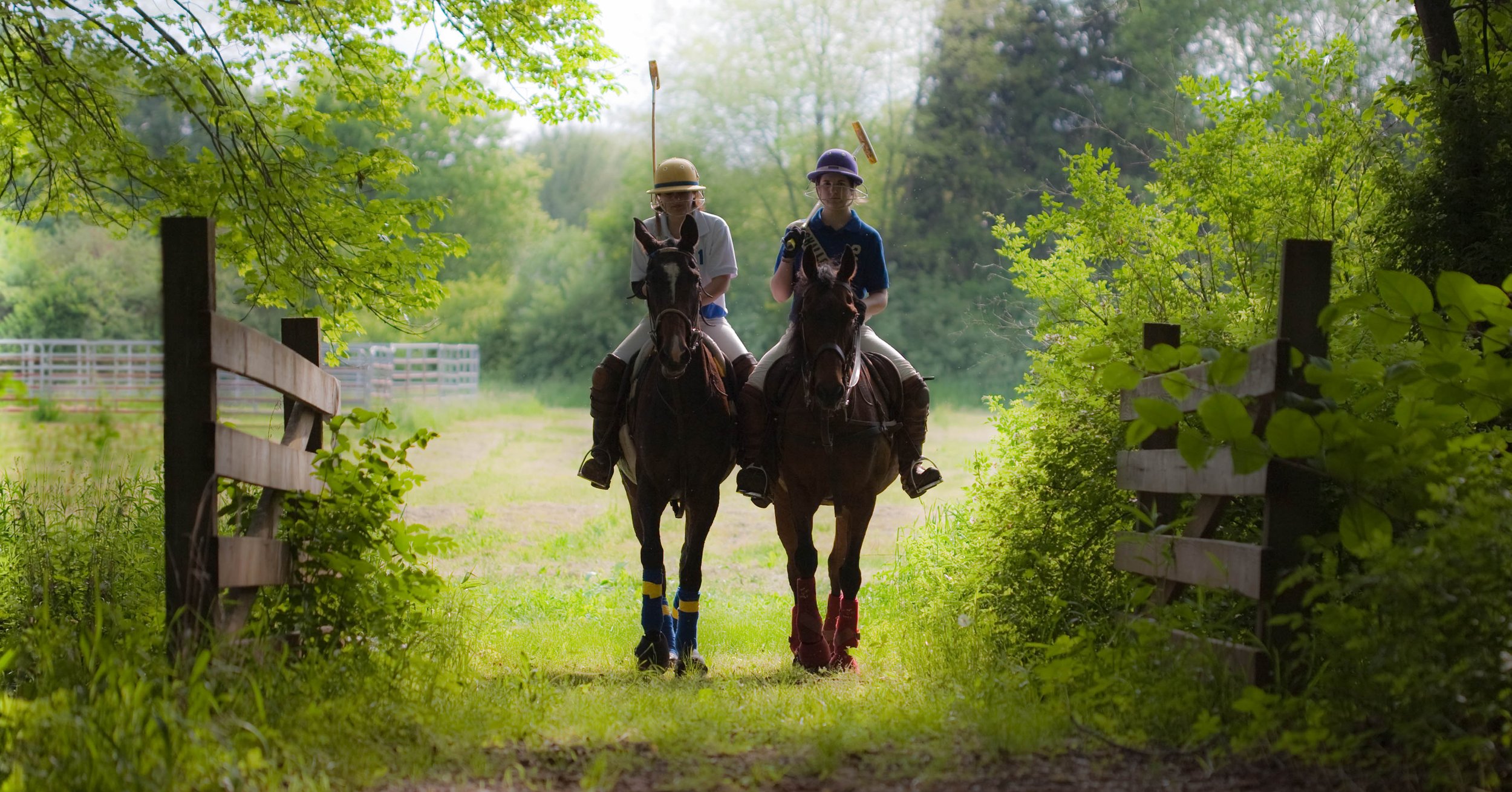 elegant-polo-players-professional-image.jpg