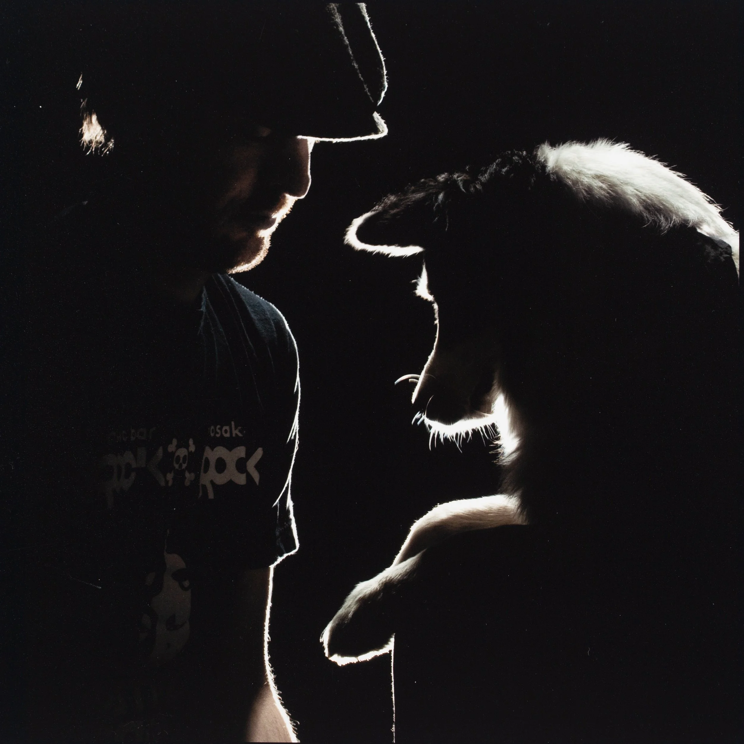 human-pet-portraits-dramatic-light.jpg