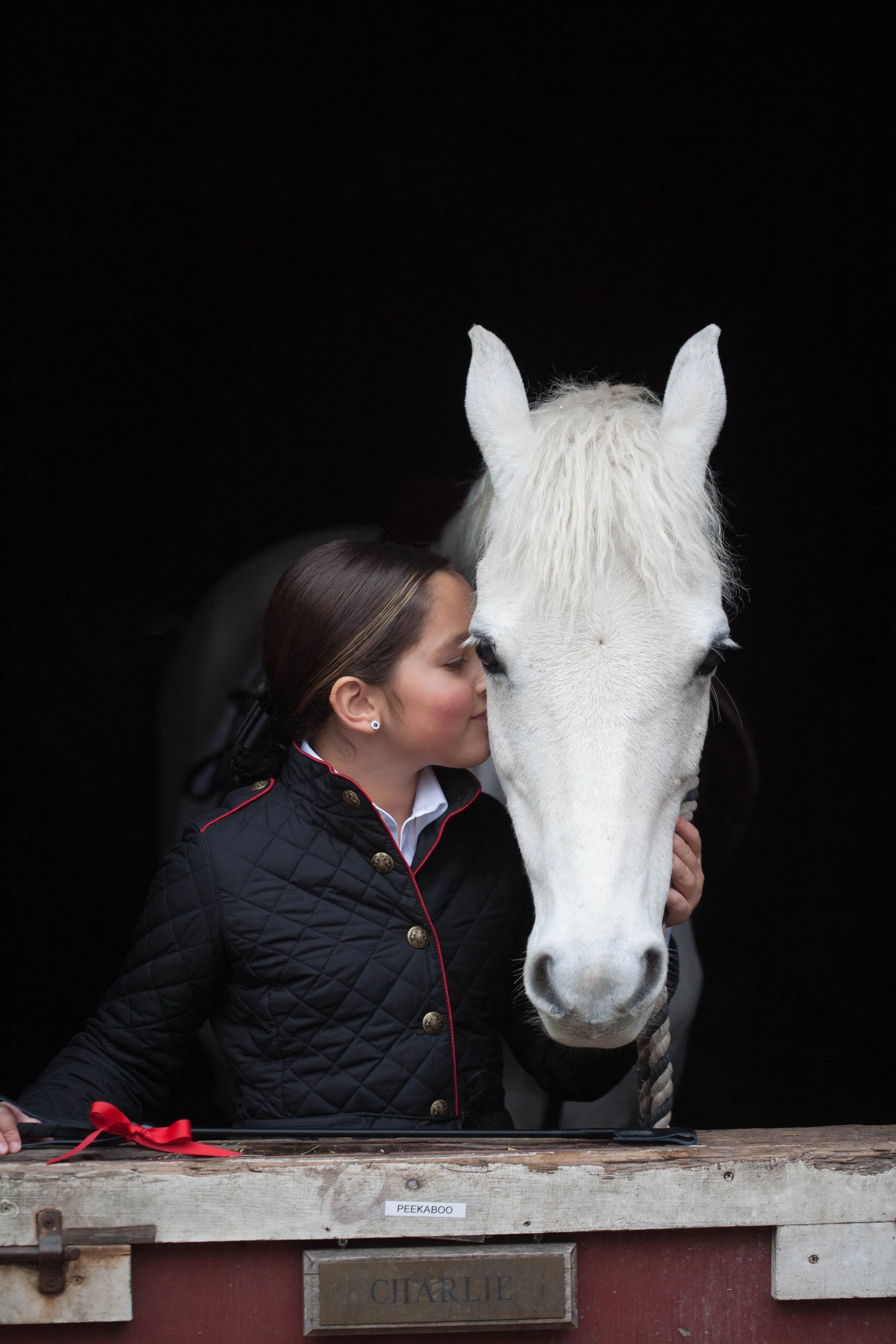 luxury-equestrian-portraits-ny.jpg