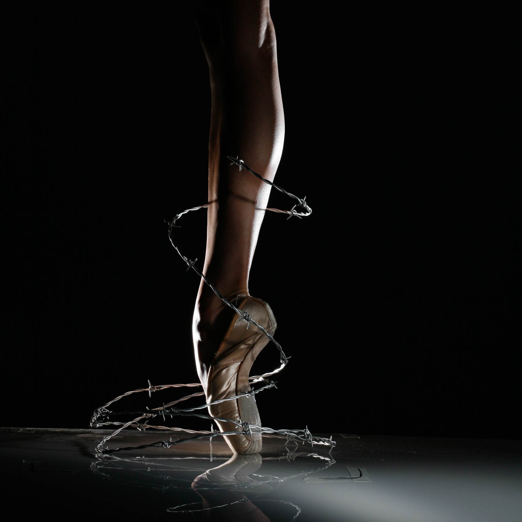 professional-styled-ballet-barbed-wire-image-nyc.jpg
