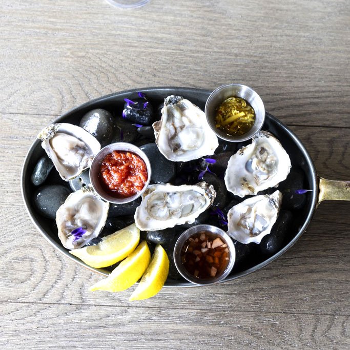 Oyster.jpg