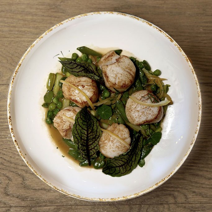 Diver Harvested Scallops.jpg