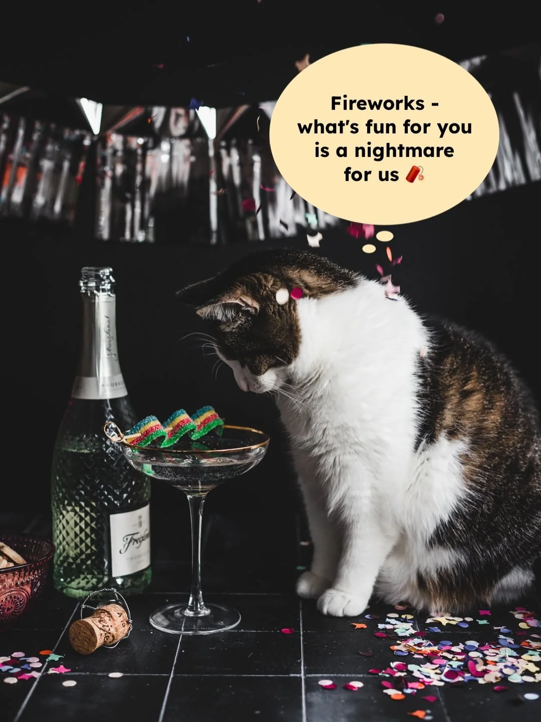 Mila 🐱 has something to say...

#saynotofireworks #nofireworks #animalarefriends #animallovers #tierliebe #tieresinddiebesserenmenschen #takecareofanimals #animalwelfare #tierschutz #fireworks