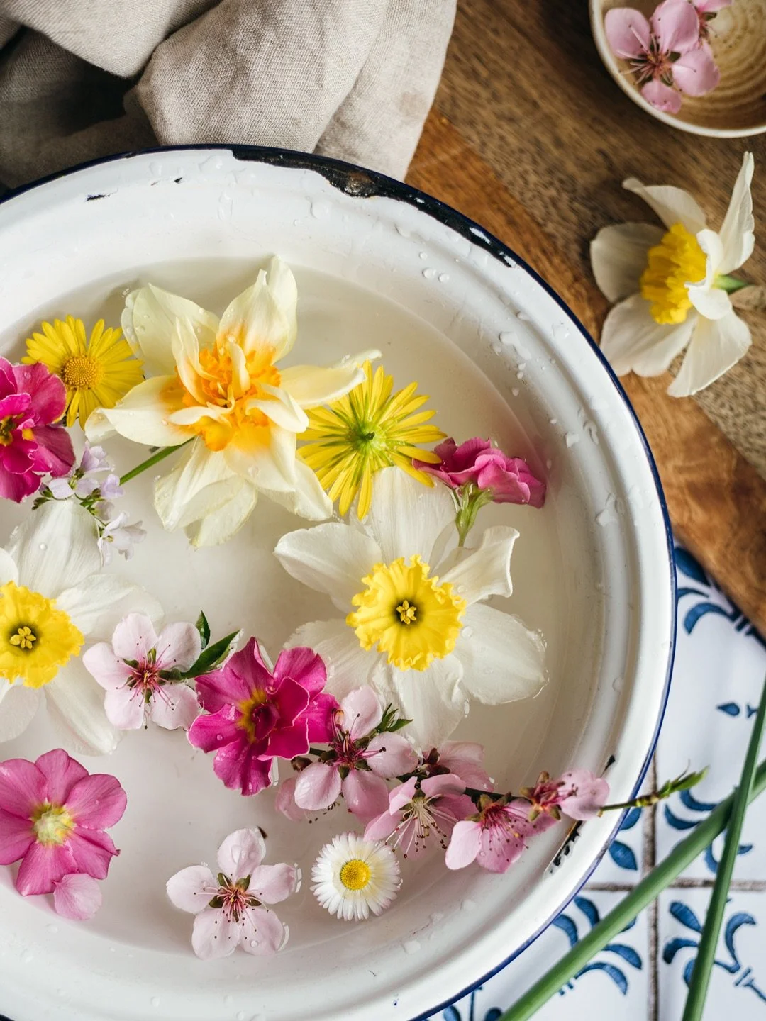 Forever a #flowergirl - who can relate? (Mila can 😻. She loves flowers AND water, so she couldn't await the end of the photoshoot when that bowl was finally hers 😼)

Which shot is your favorite and why? 💞

#canon50mm18 #waitingforspring #flowerpho