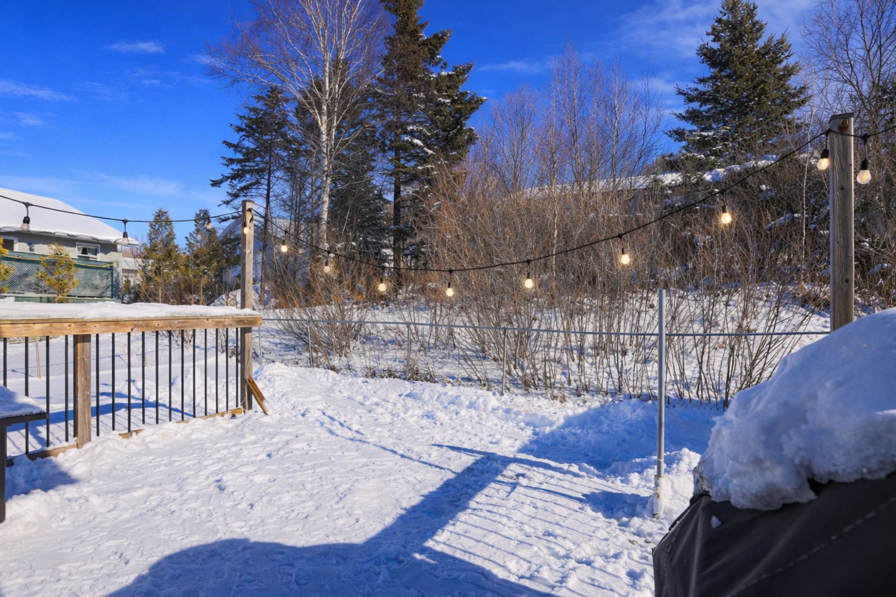 Untitled design (4).jpg