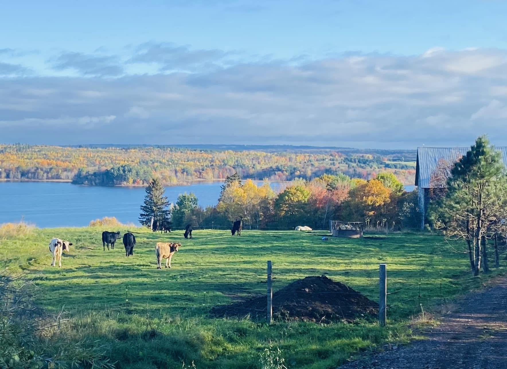 Tides Peak pasture.jpg