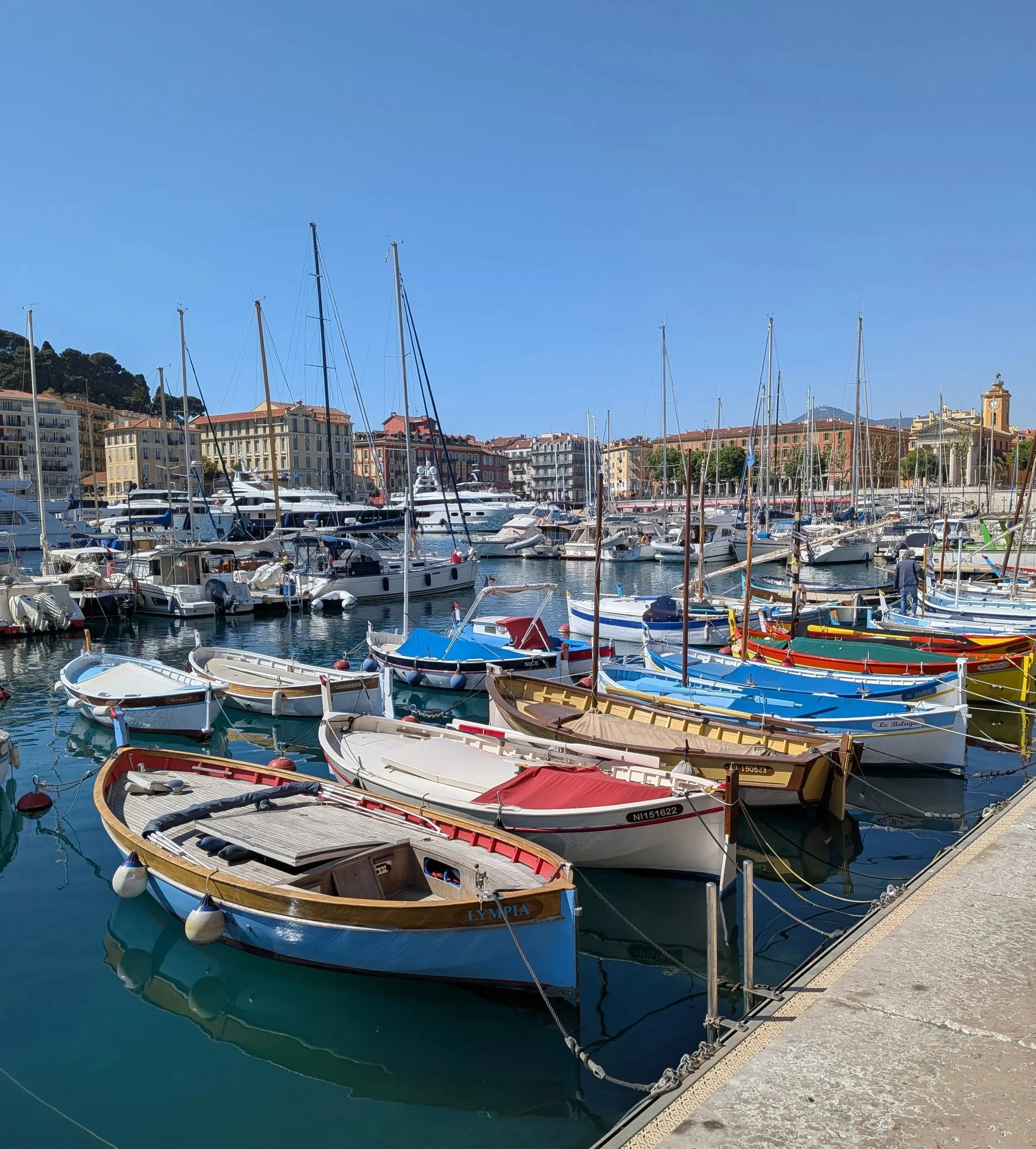 Citrus &amp; Sunshine in the French Riviera