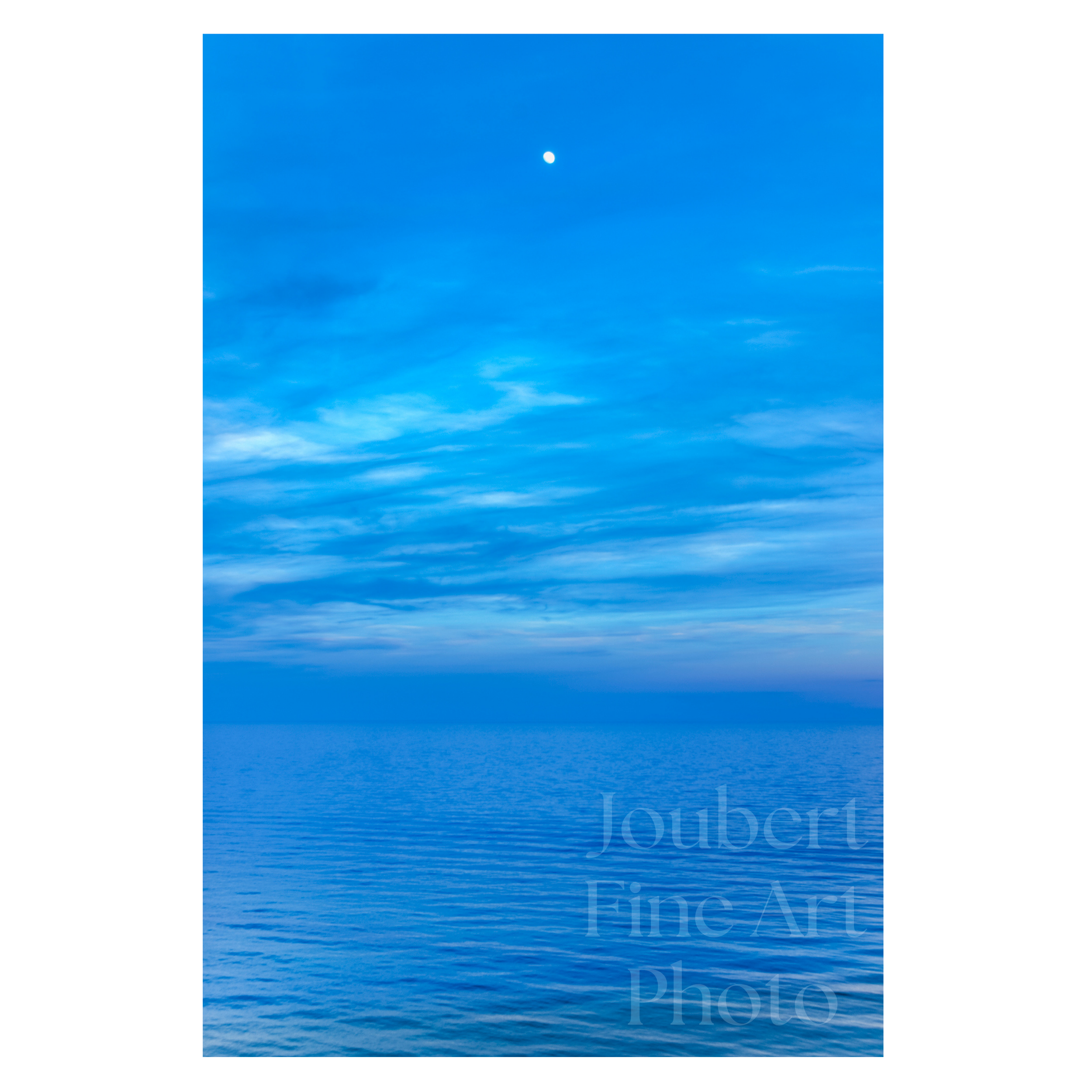 template 1 (3).png