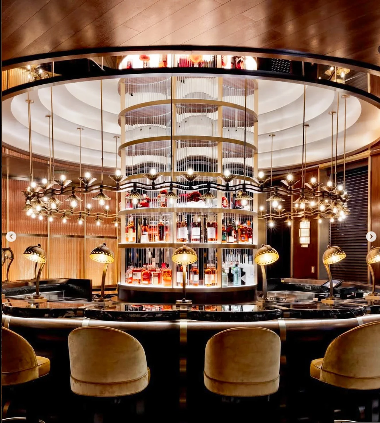 Screenshot 2024-12-23 at 9.12.10 AM.JPG