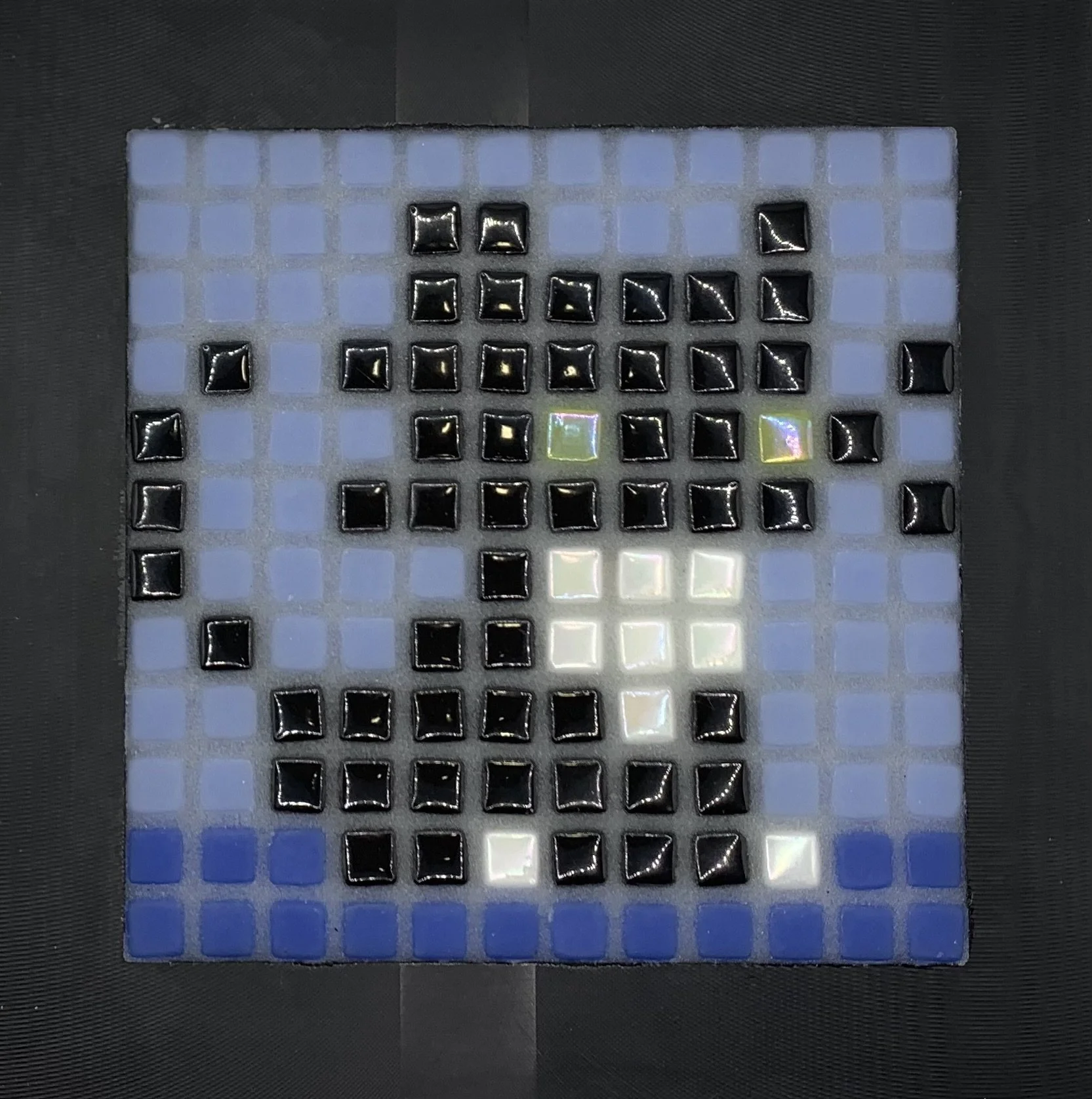 Black & White Kitten