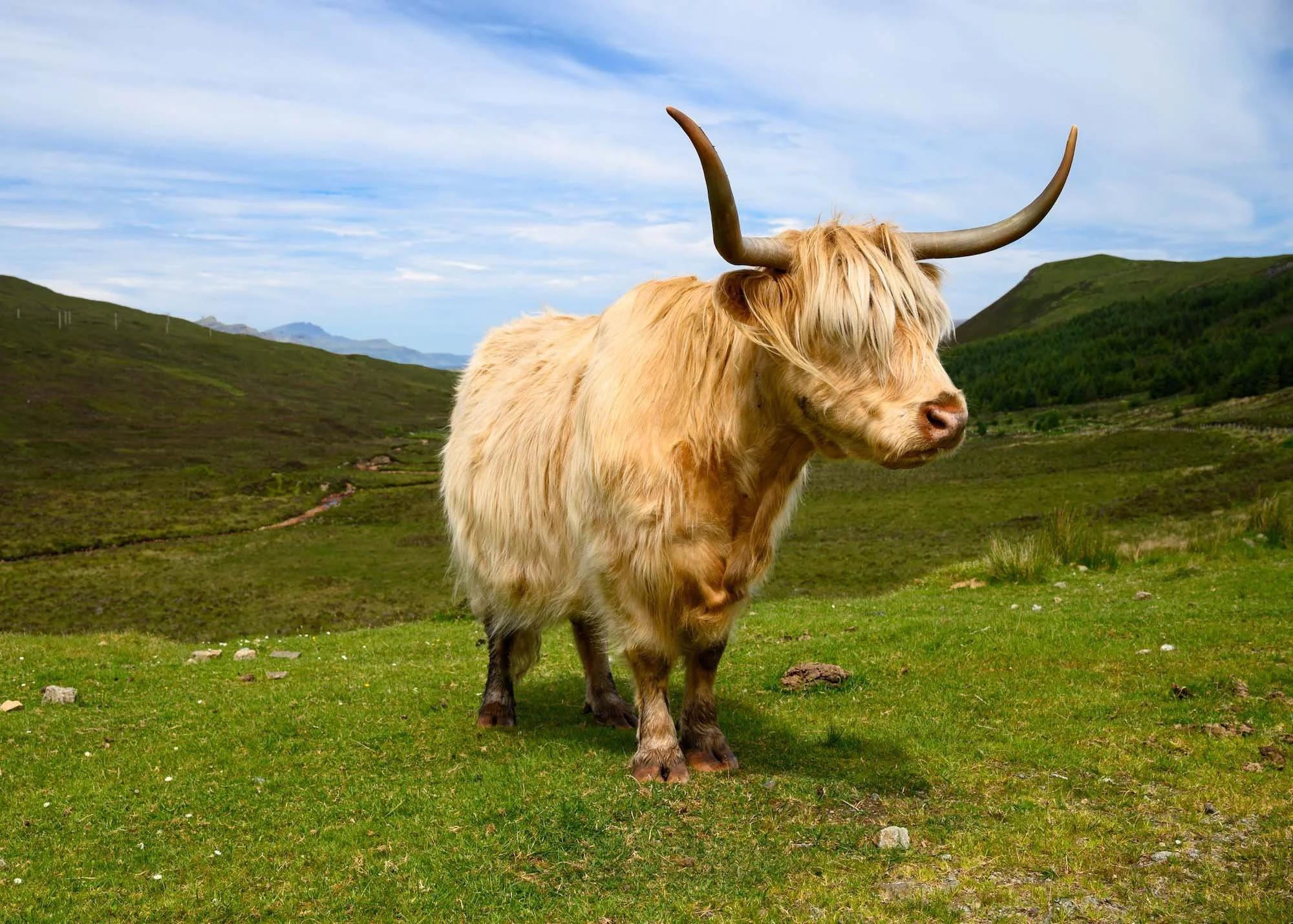 Scotland2021_336.jpg