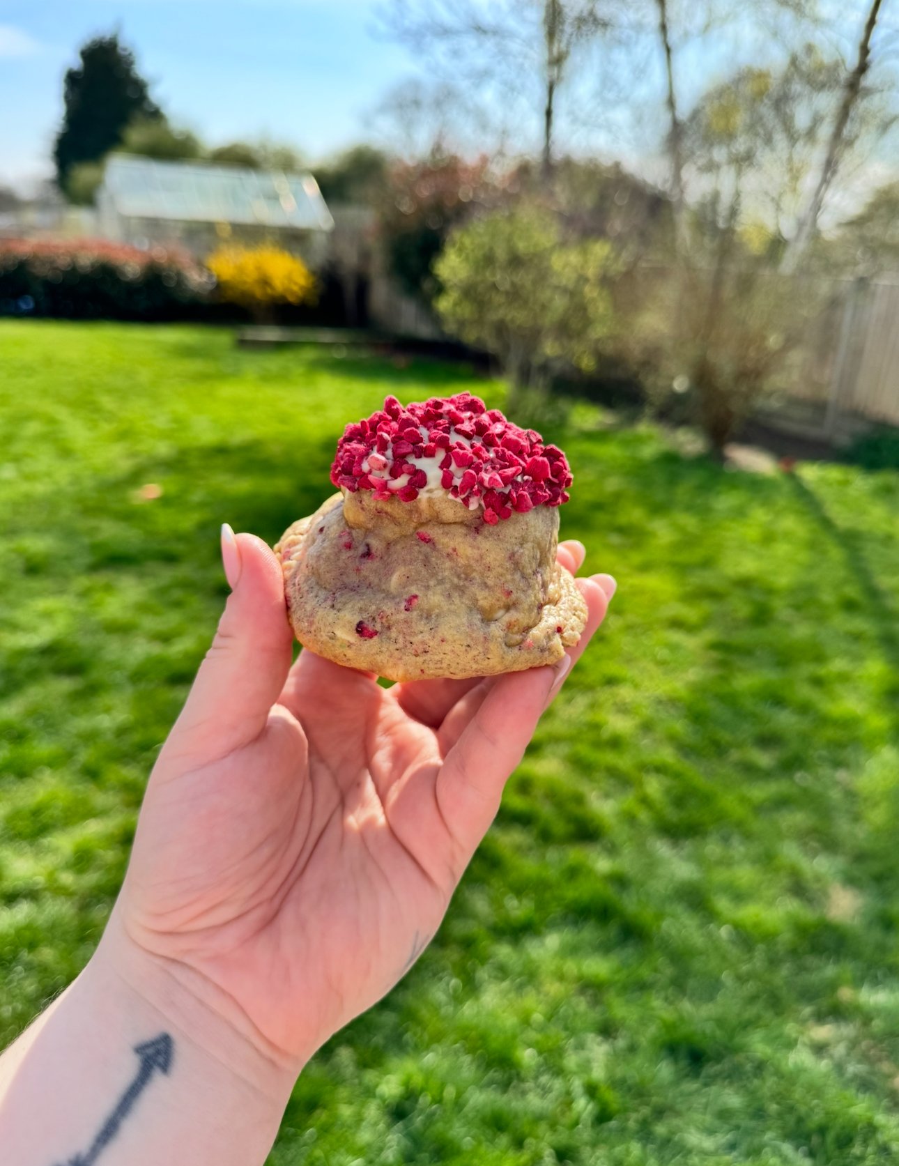 White Choc & Raspberry Cookie