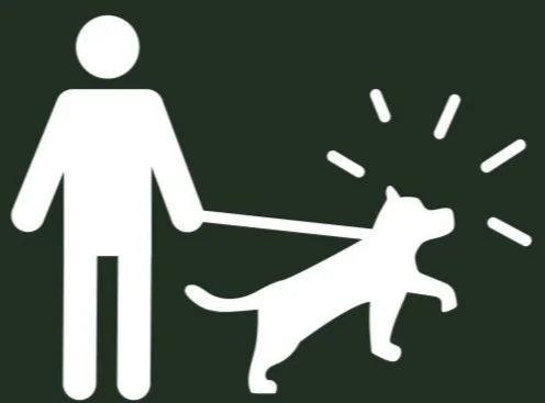 Screen Shot 2024-12-22 at 12.04.16 PM.jpg