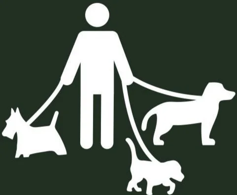 Screen Shot 2024-12-22 at 12.04.39 PM.jpg