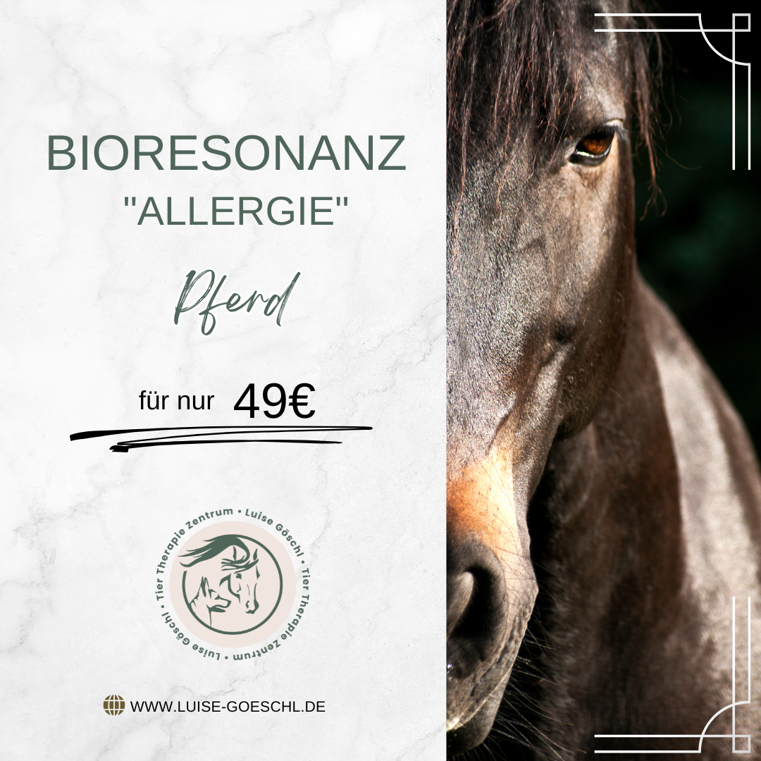Bioresonanz Analyse "Allergie" Pferd