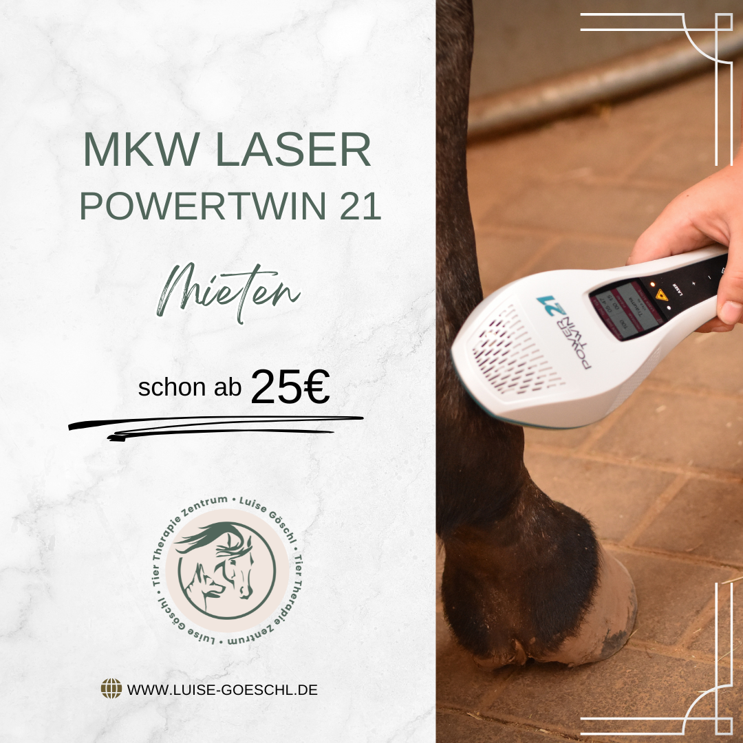 MKW Powertwin 21